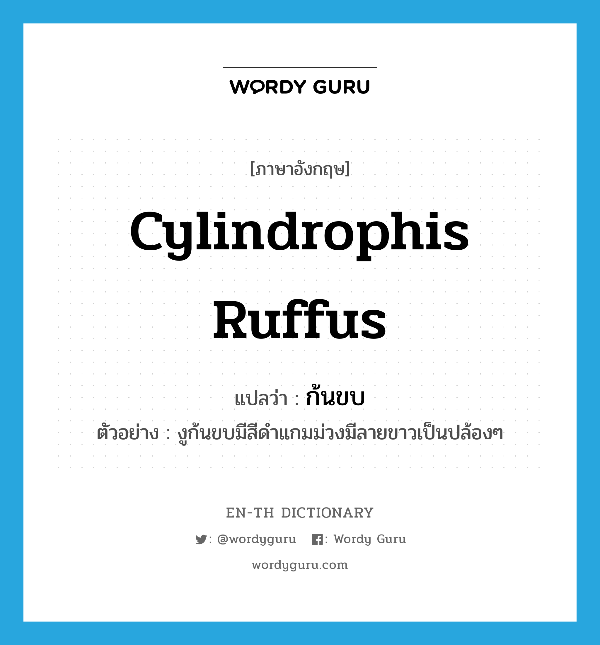 cylindrophis ruffus แปลว่า?, คำศัพท์ภาษาอังกฤษ cylindrophis ruffus แปลว่า ก้นขบ ประเภท N ตัวอย่าง งูก้นขบมีสีดำแกมม่วงมีลายขาวเป็นปล้องๆ หมวด N