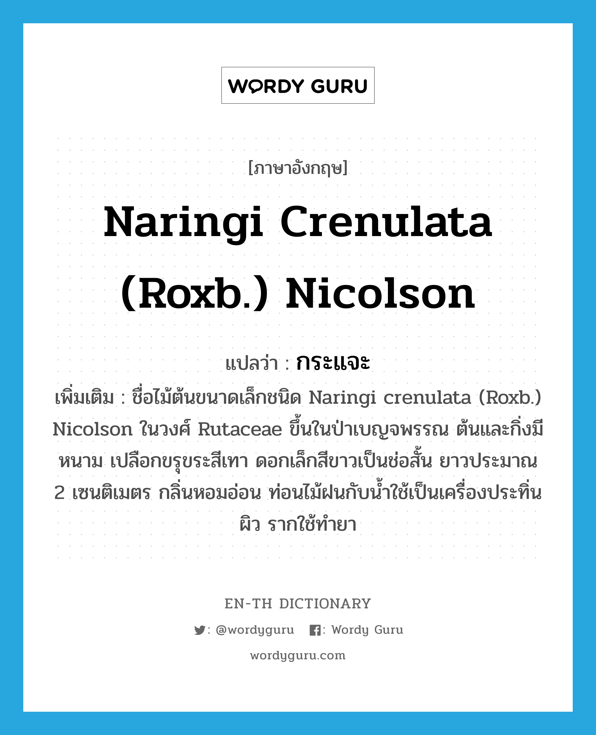 Naringi crenulata (Roxb.) Nicolson แปลว่า?, คำศัพท์ภาษาอังกฤษ Naringi crenulata (Roxb.) Nicolson แปลว่า กระแจะ ประเภท N เพิ่มเติม ชื่อไม้ต้นขนาดเล็กชนิด Naringi crenulata (Roxb.) Nicolson ในวงศ์ Rutaceae ขึ้นในป่าเบญจพรรณ ต้นและกิ่งมีหนาม เปลือกขรุขระสีเทา ดอกเล็กสีขาวเป็นช่อสั้น ยาวประมาณ 2 เซนติเมตร กลิ่นหอมอ่อน ท่อนไม้ฝนกับน้ำใช้เป็นเครื่องประทิ่นผิว รากใช้ทำยา หมวด N