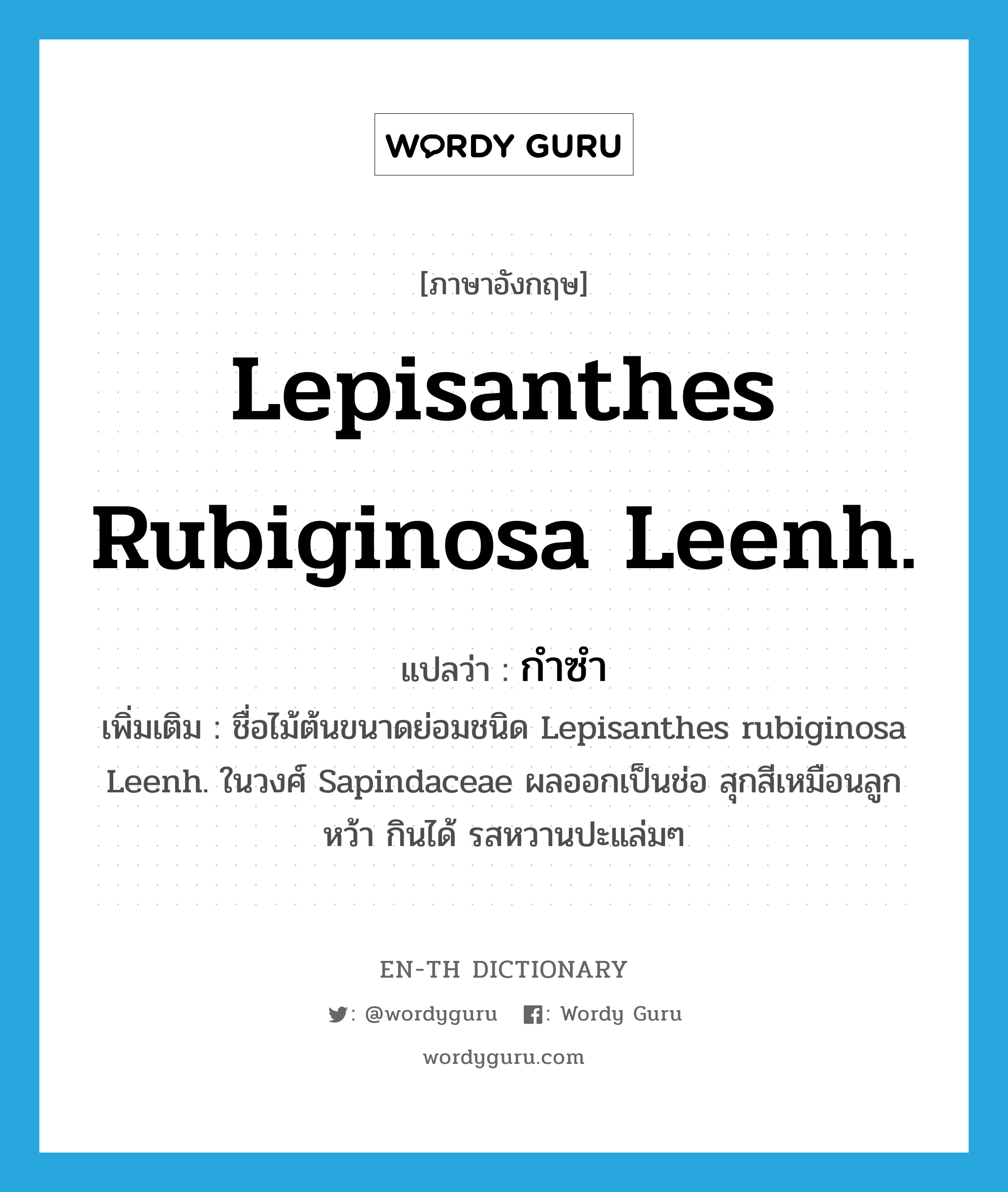 Lepisanthes rubiginosa Leenh. แปลว่า?, คำศัพท์ภาษาอังกฤษ Lepisanthes rubiginosa Leenh. แปลว่า กำซำ ประเภท N เพิ่มเติม ชื่อไม้ต้นขนาดย่อมชนิด Lepisanthes rubiginosa Leenh. ในวงศ์ Sapindaceae ผลออกเป็นช่อ สุกสีเหมือนลูกหว้า กินได้ รสหวานปะแล่มๆ หมวด N