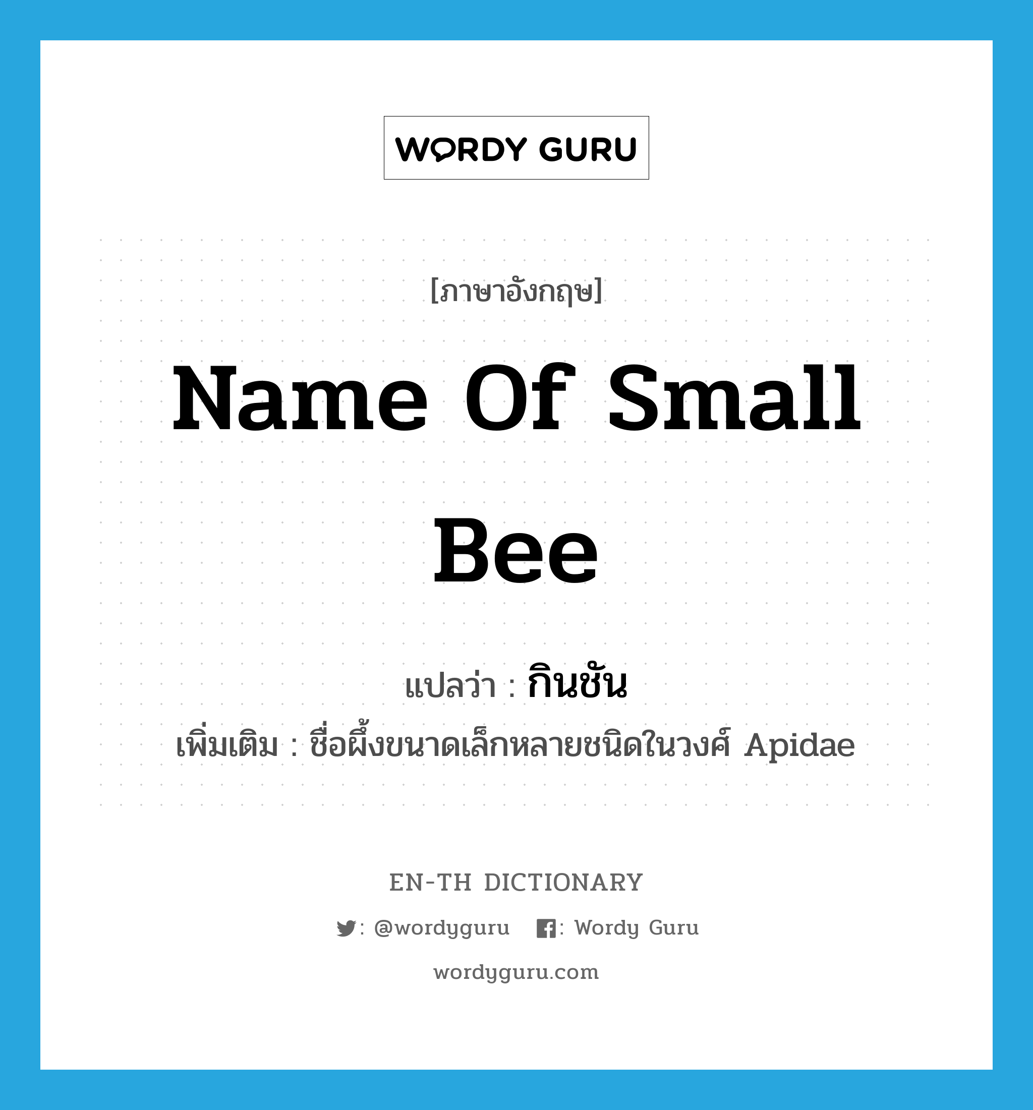 name of small bee แปลว่า?, คำศัพท์ภาษาอังกฤษ name of small bee แปลว่า กินชัน ประเภท N เพิ่มเติม ชื่อผึ้งขนาดเล็กหลายชนิดในวงศ์ Apidae หมวด N