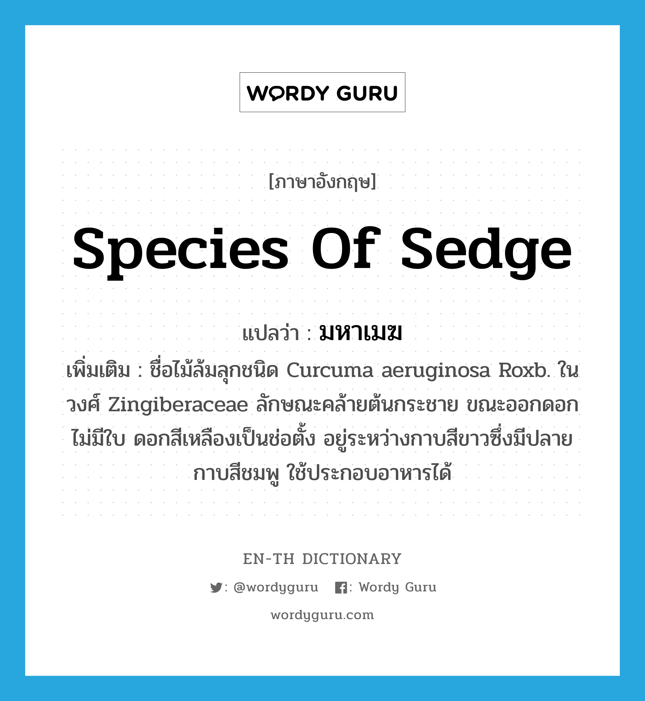 species of sedge แปลว่า?, คำศัพท์ภาษาอังกฤษ species of sedge แปลว่า มหาเมฆ ประเภท N เพิ่มเติม ชื่อไม้ล้มลุกชนิด Curcuma aeruginosa Roxb. ในวงศ์ Zingiberaceae ลักษณะคล้ายต้นกระชาย ขณะออกดอกไม่มีใบ ดอกสีเหลืองเป็นช่อตั้ง อยู่ระหว่างกาบสีขาวซึ่งมีปลายกาบสีชมพู ใช้ประกอบอาหารได้ หมวด N