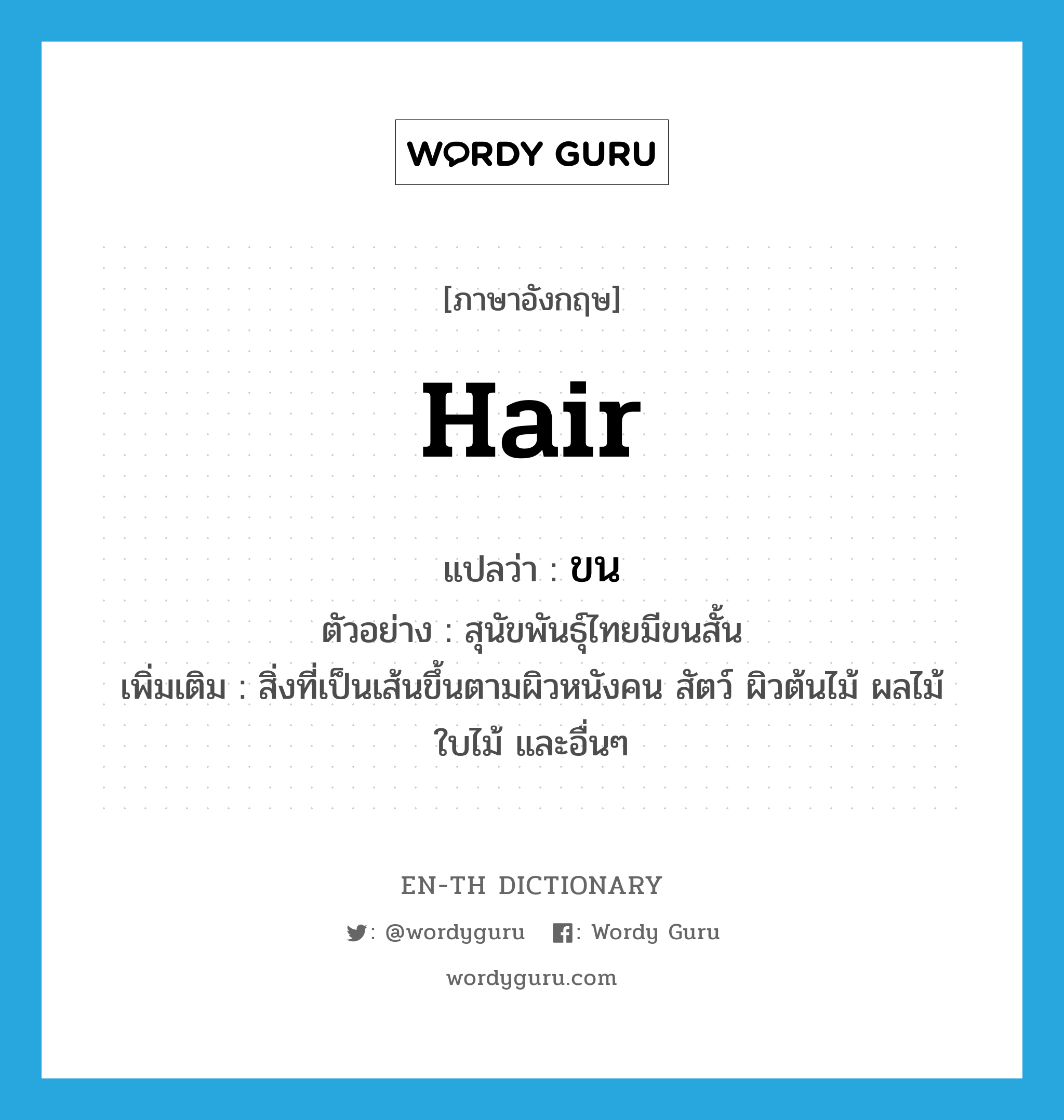 hair แปลว่า?, คำศัพท์ภาษาอังกฤษ hair แปลว่า ขน ประเภท N ตัวอย่าง สุนัขพันธุ์ไทยมีขนสั้น เพิ่มเติม สิ่งที่เป็นเส้นขึ้นตามผิวหนังคน สัตว์ ผิวต้นไม้ ผลไม้ ใบไม้ และอื่นๆ หมวด N