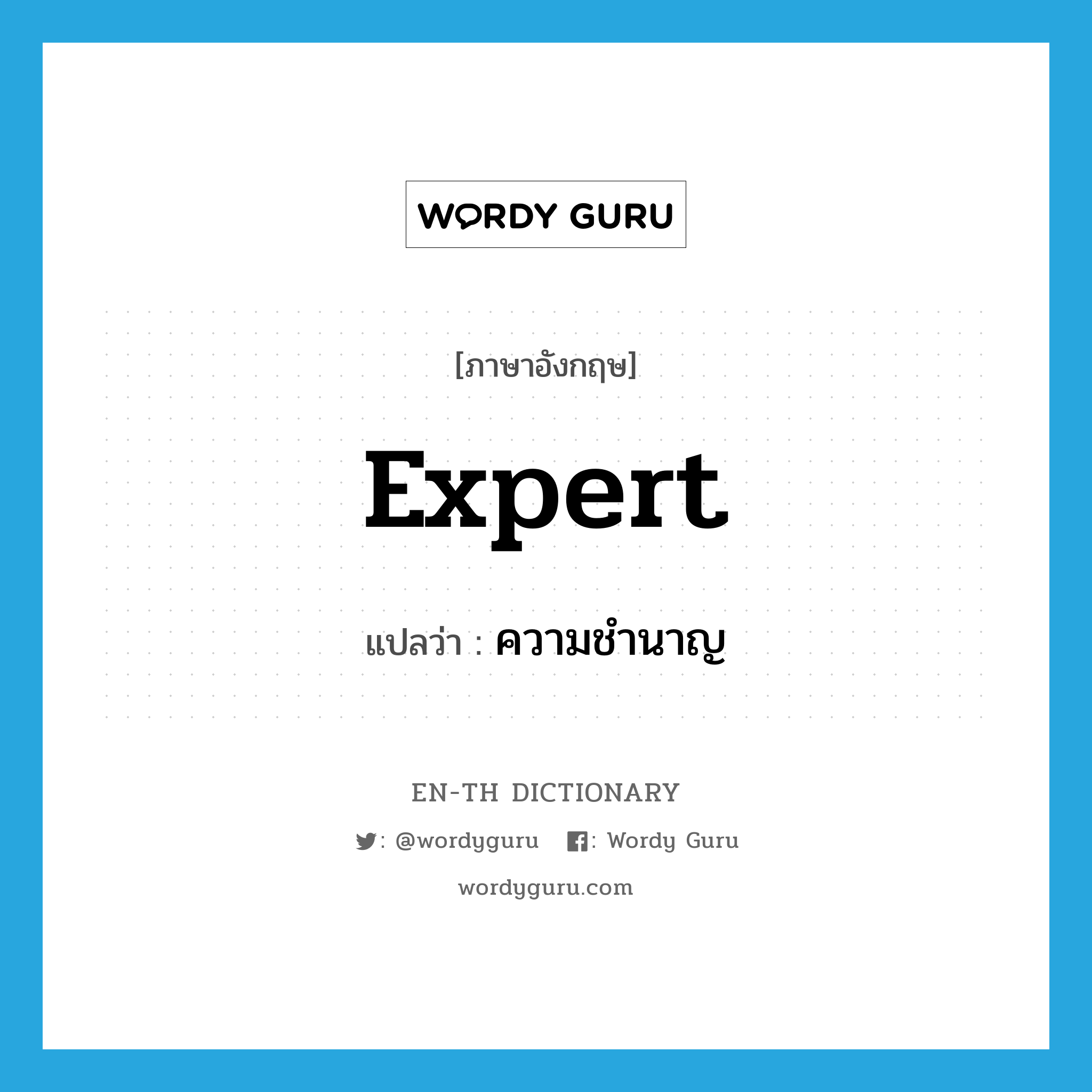 expert แปลว่า?, คำศัพท์ภาษาอังกฤษ expert แปลว่า ความชำนาญ ประเภท N หมวด N