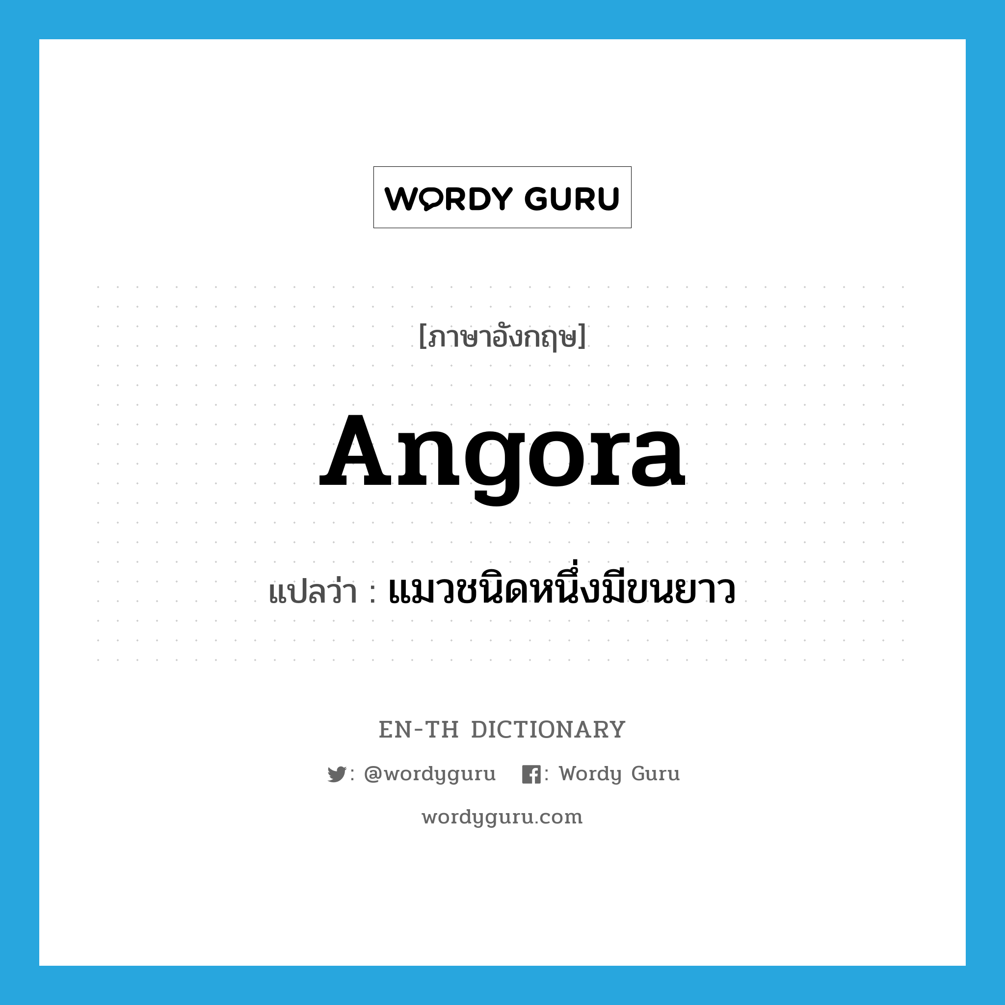 Angora แปลว่า?, คำศัพท์ภาษาอังกฤษ Angora แปลว่า แมวชนิดหนึ่งมีขนยาว ประเภท N หมวด N