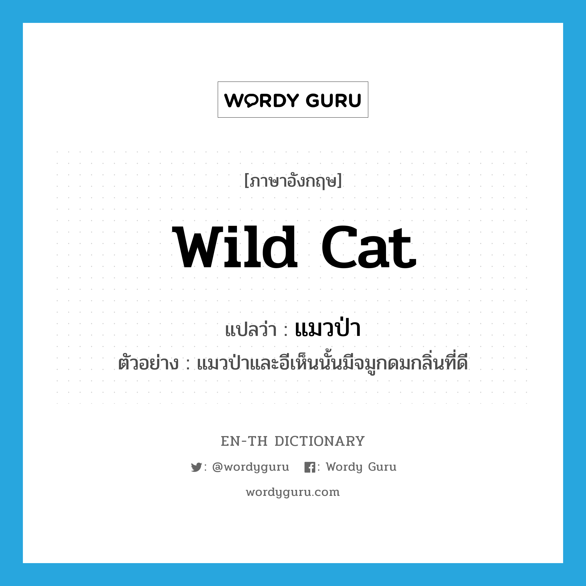 wild cat แปลว่า?, คำศัพท์ภาษาอังกฤษ wild cat แปลว่า แมวป่า ประเภท N ตัวอย่าง แมวป่าและอีเห็นนั้นมีจมูกดมกลิ่นที่ดี หมวด N