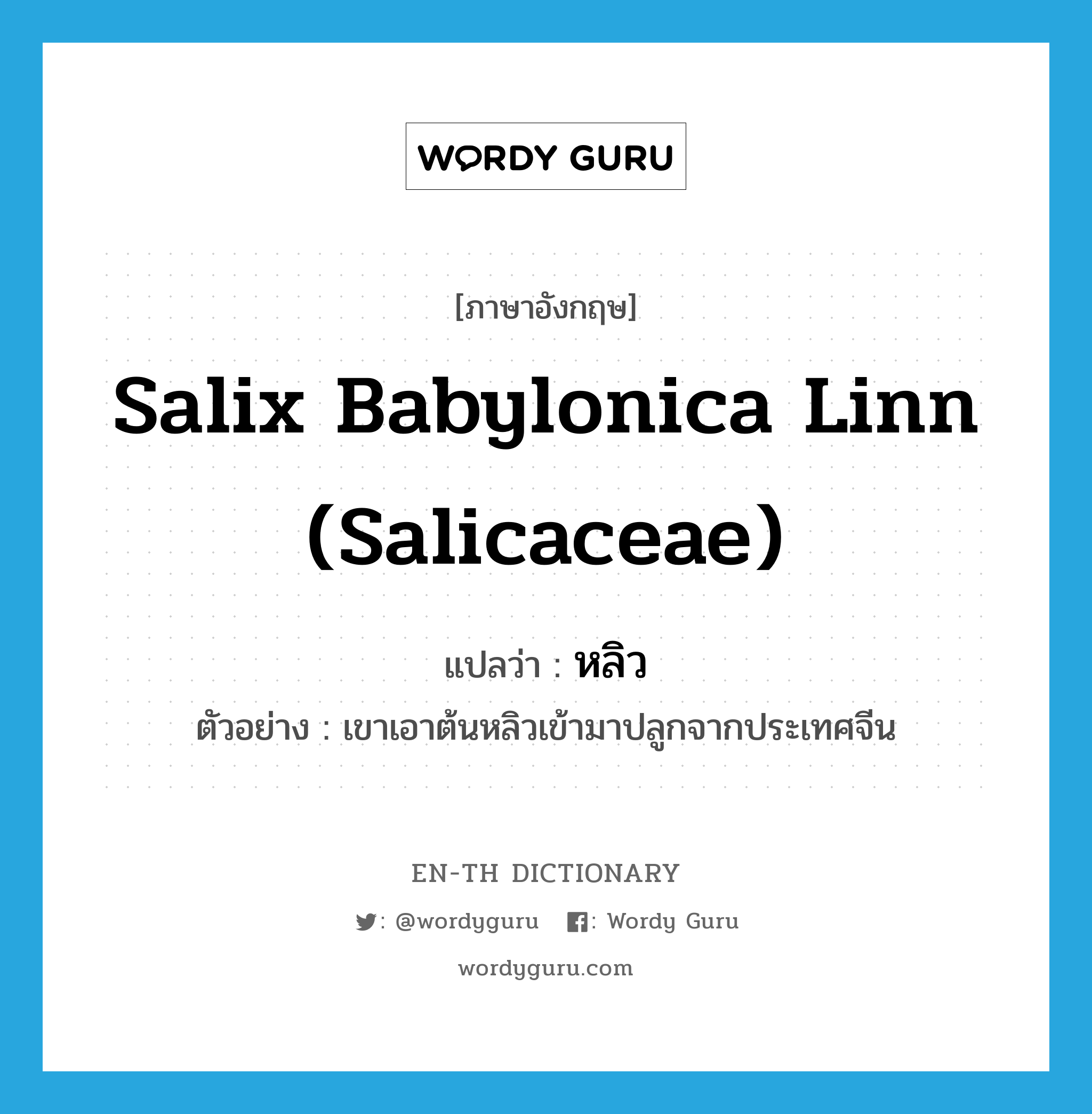 Salix babylonica Linn (Salicaceae) แปลว่า?, คำศัพท์ภาษาอังกฤษ Salix babylonica Linn (Salicaceae) แปลว่า หลิว ประเภท N ตัวอย่าง เขาเอาต้นหลิวเข้ามาปลูกจากประเทศจีน หมวด N