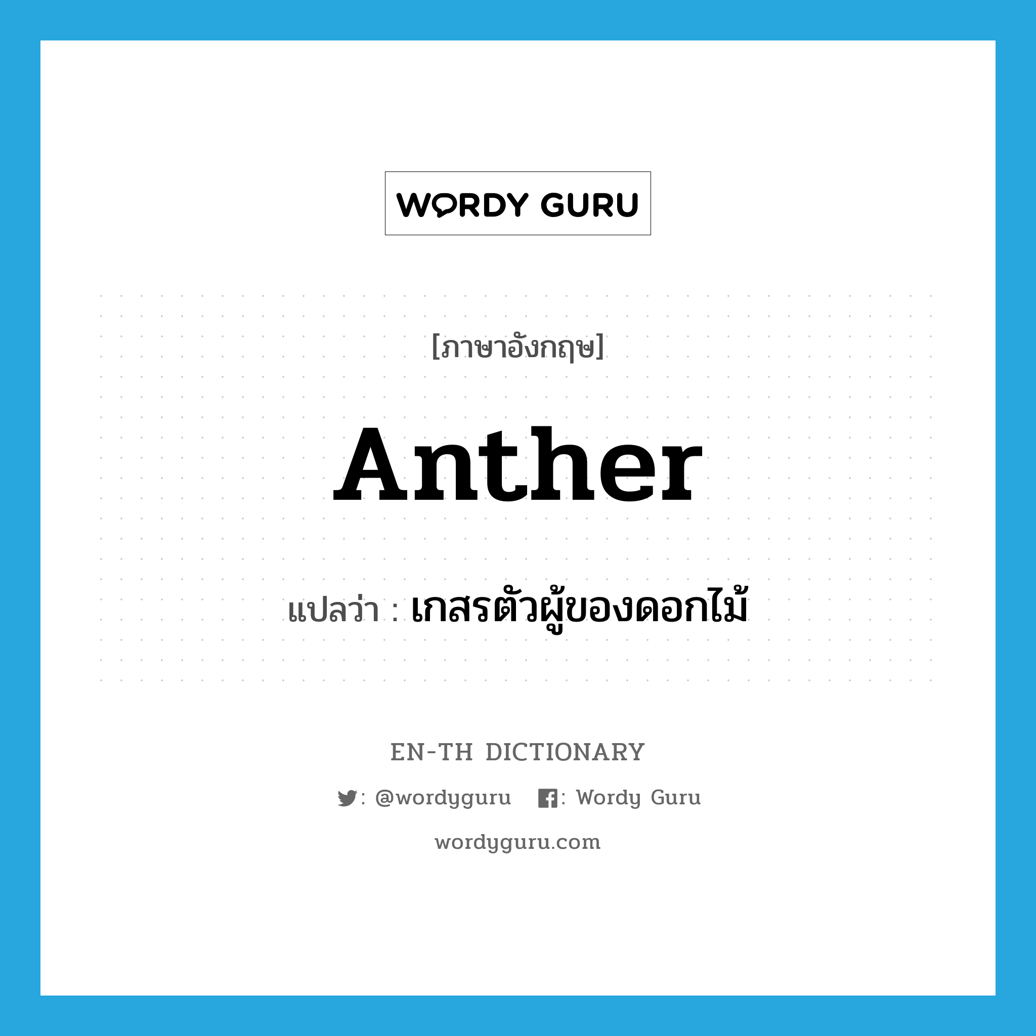 anther แปลว่า?, คำศัพท์ภาษาอังกฤษ anther แปลว่า เกสรตัวผู้ของดอกไม้ ประเภท N หมวด N