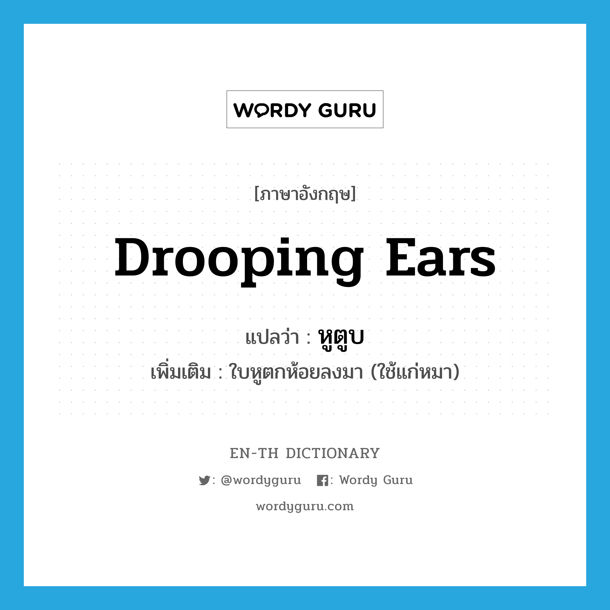 drooping ears แปลว่า?, คำศัพท์ภาษาอังกฤษ drooping ears แปลว่า หูตูบ ประเภท N เพิ่มเติม ใบหูตกห้อยลงมา (ใช้แก่หมา) หมวด N