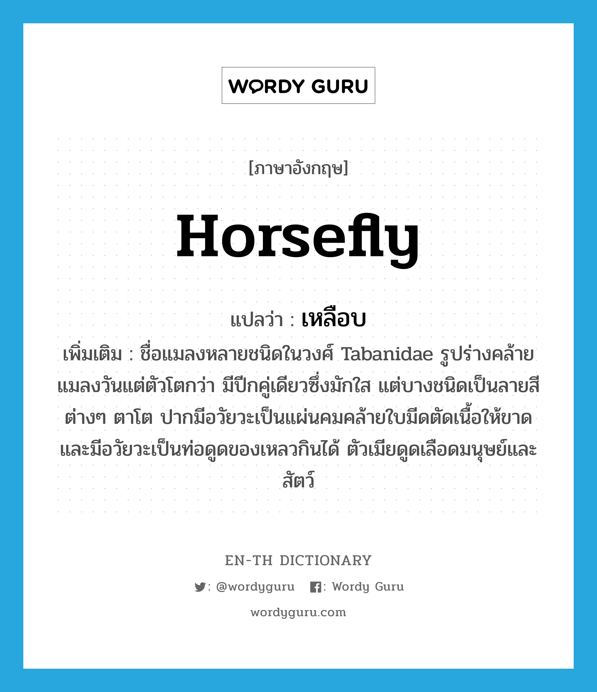 horsefly แปลว่า?, คำศัพท์ภาษาอังกฤษ horsefly แปลว่า เหลือบ ประเภท N เพิ่มเติม ชื่อแมลงหลายชนิดในวงศ์ Tabanidae รูปร่างคล้ายแมลงวันแต่ตัวโตกว่า มีปีกคู่เดียวซึ่งมักใส แต่บางชนิดเป็นลายสีต่างๆ ตาโต ปากมีอวัยวะเป็นแผ่นคมคล้ายใบมีดตัดเนื้อให้ขาด และมีอวัยวะเป็นท่อดูดของเหลวกินได้ ตัวเมียดูดเลือดมนุษย์และสัตว์ หมวด N