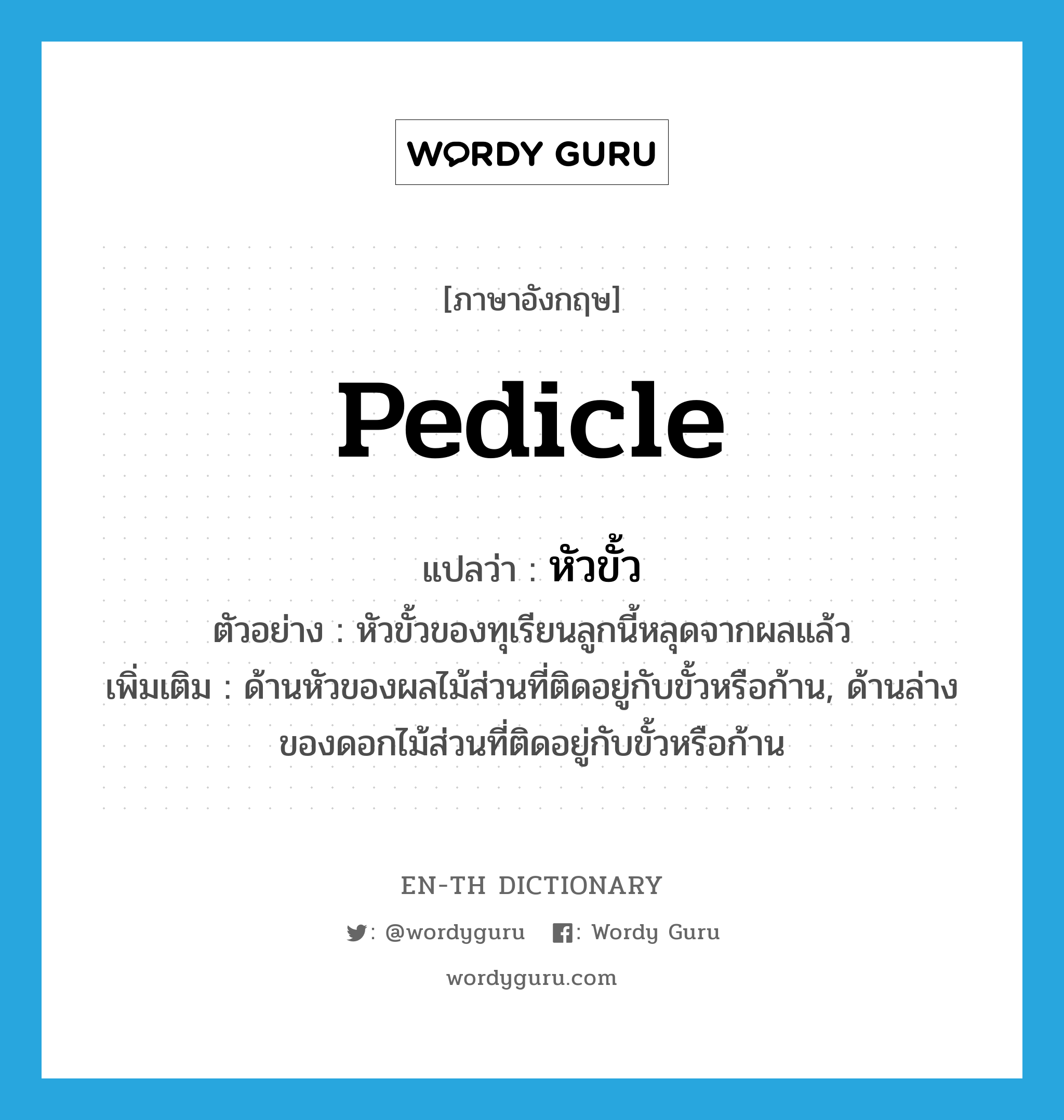 pedicle แปลว่า?, คำศัพท์ภาษาอังกฤษ pedicle แปลว่า หัวขั้ว ประเภท N ตัวอย่าง หัวขั้วของทุเรียนลูกนี้หลุดจากผลแล้ว เพิ่มเติม ด้านหัวของผลไม้ส่วนที่ติดอยู่กับขั้วหรือก้าน, ด้านล่างของดอกไม้ส่วนที่ติดอยู่กับขั้วหรือก้าน หมวด N