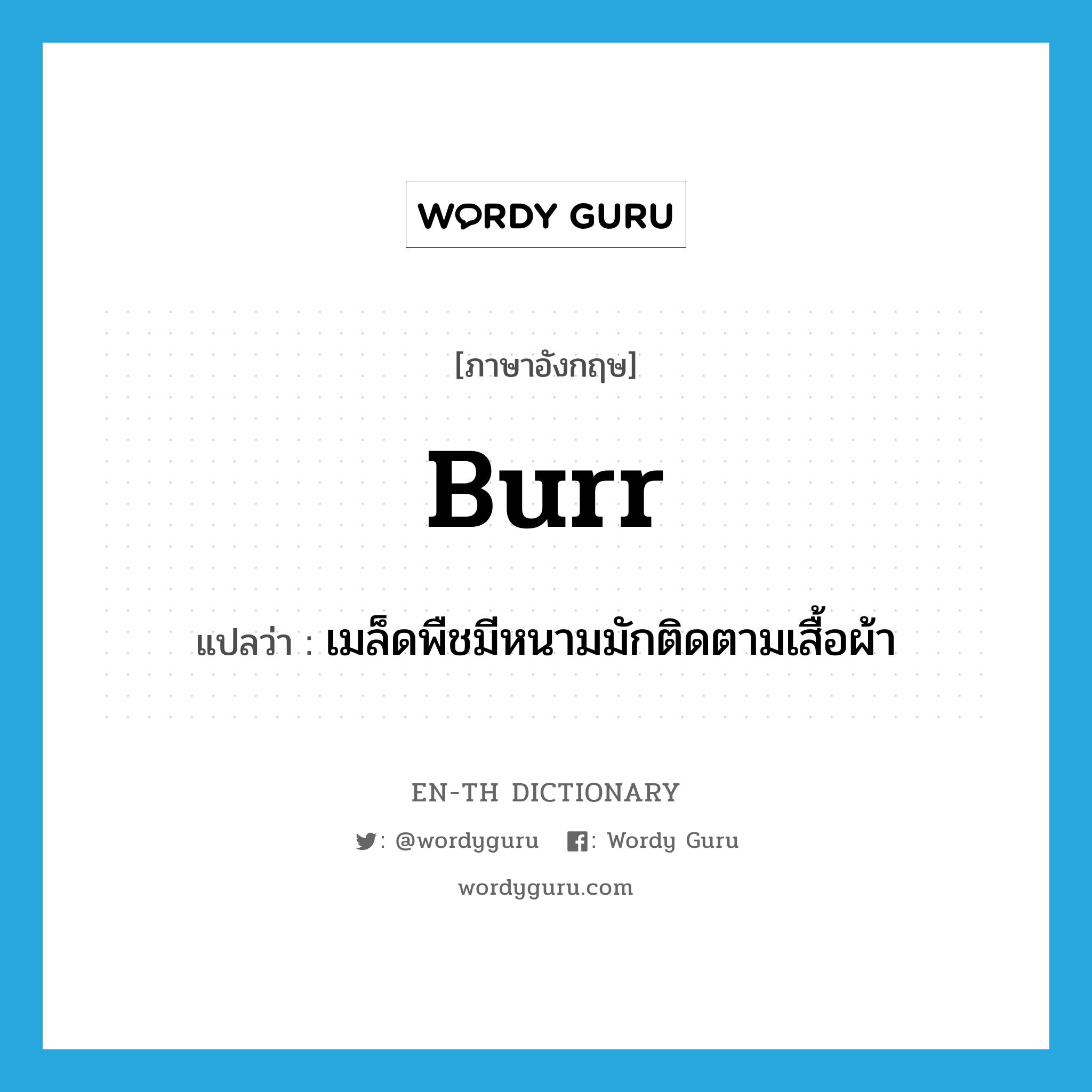 burr แปลว่า?, คำศัพท์ภาษาอังกฤษ burr แปลว่า เมล็ดพืชมีหนามมักติดตามเสื้อผ้า ประเภท N หมวด N