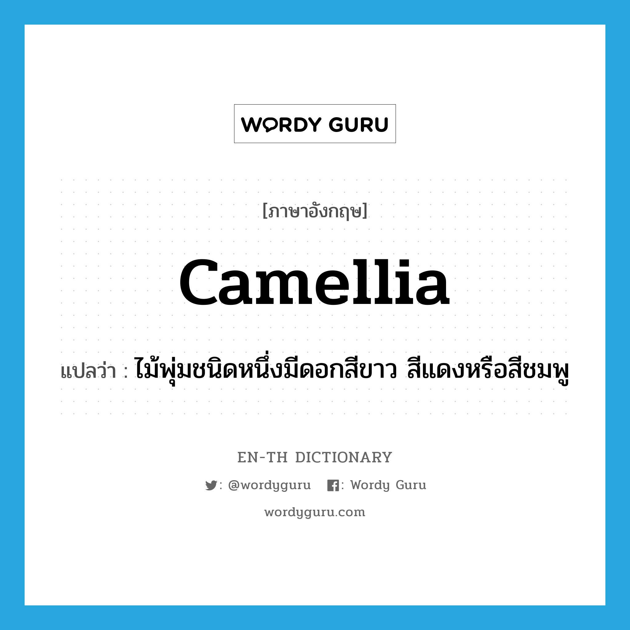 camellia แปลว่า?, คำศัพท์ภาษาอังกฤษ camellia แปลว่า ไม้พุ่มชนิดหนึ่งมีดอกสีขาว สีแดงหรือสีชมพู ประเภท N หมวด N