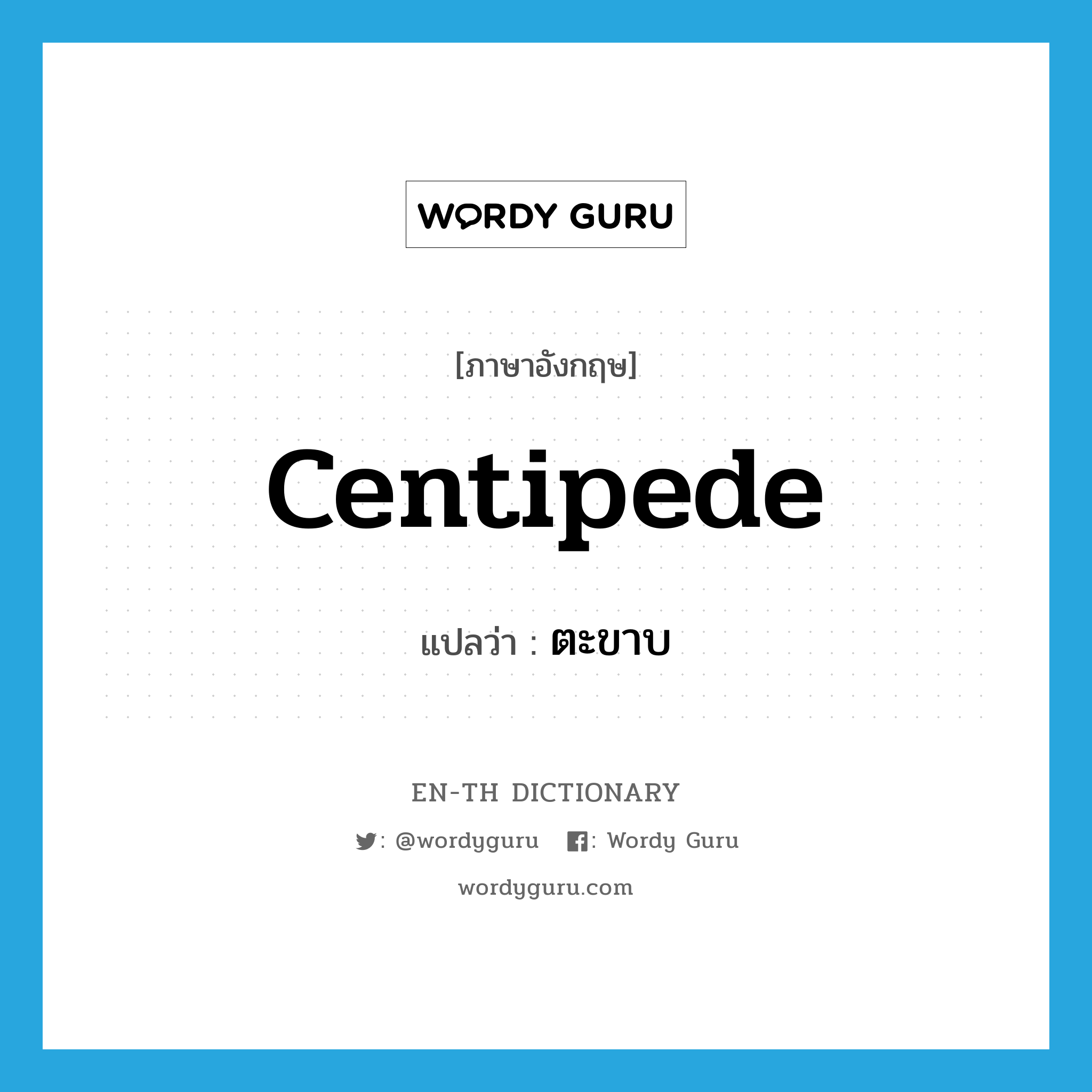 centipede แปลว่า?, คำศัพท์ภาษาอังกฤษ centipede แปลว่า ตะขาบ ประเภท N หมวด N