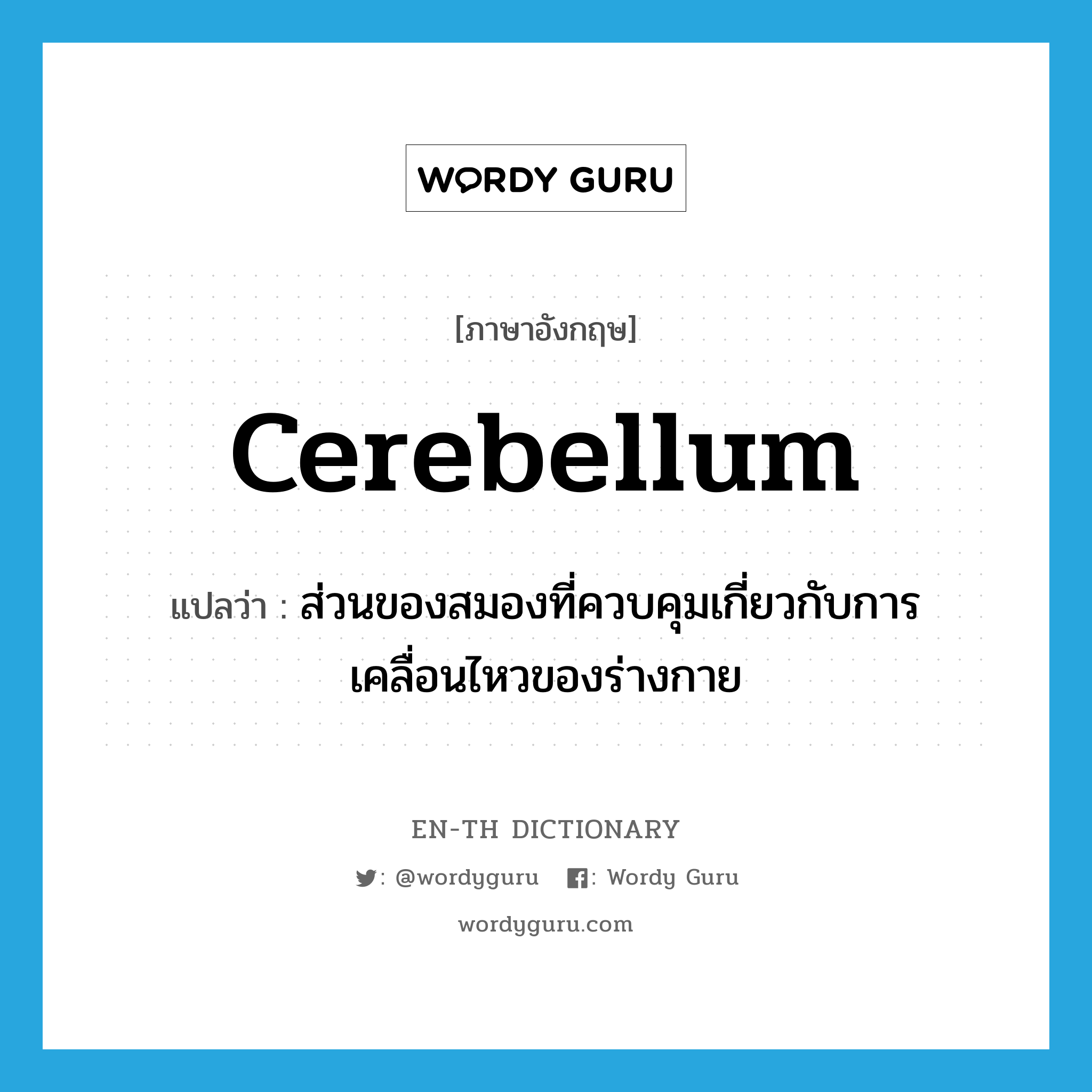 cerebellum แปลว่า?, คำศัพท์ภาษาอังกฤษ cerebellum แปลว่า ส่วนของสมองที่ควบคุมเกี่ยวกับการเคลื่อนไหวของร่างกาย ประเภท N หมวด N