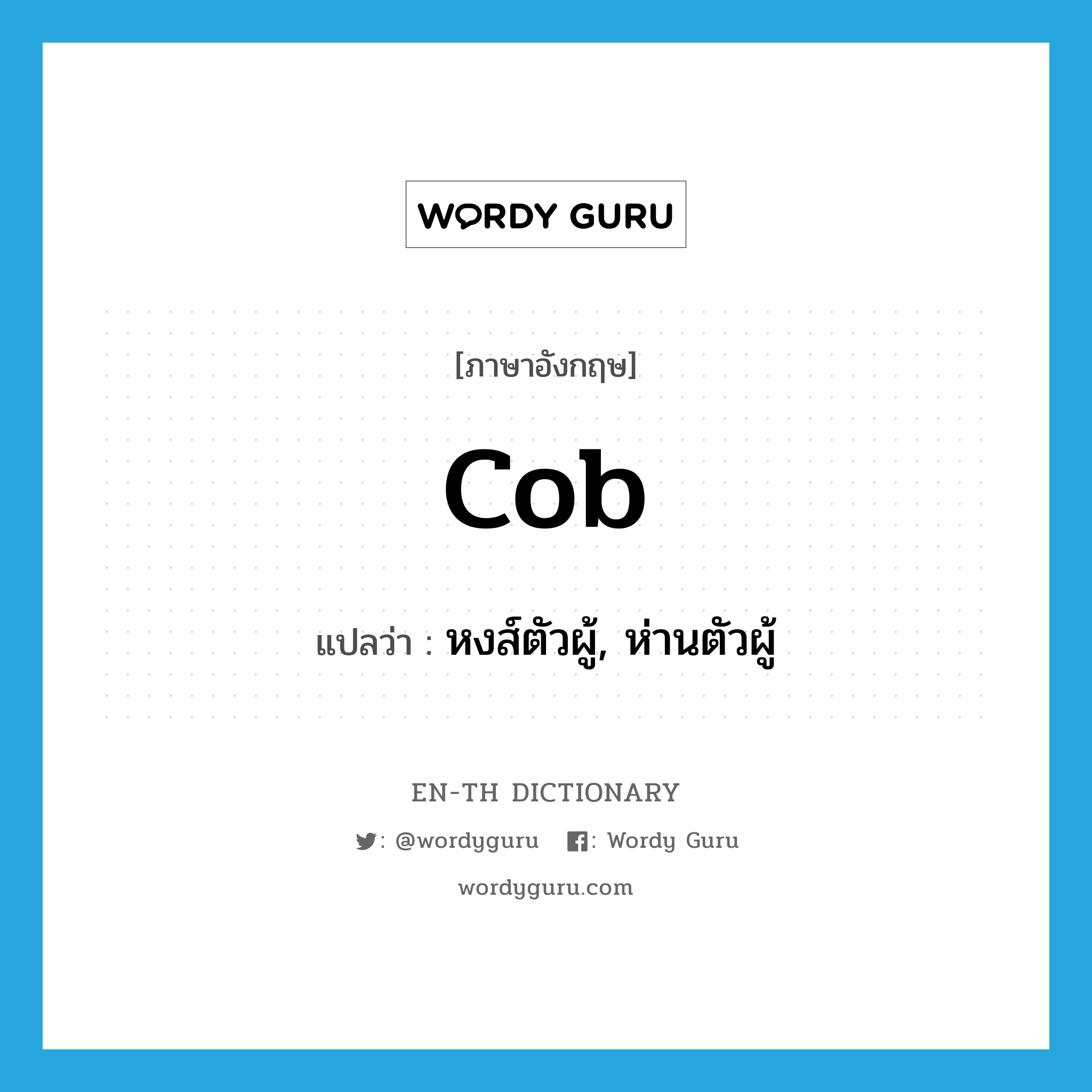 cob แปลว่า?, คำศัพท์ภาษาอังกฤษ cob แปลว่า หงส์ตัวผู้, ห่านตัวผู้ ประเภท N หมวด N