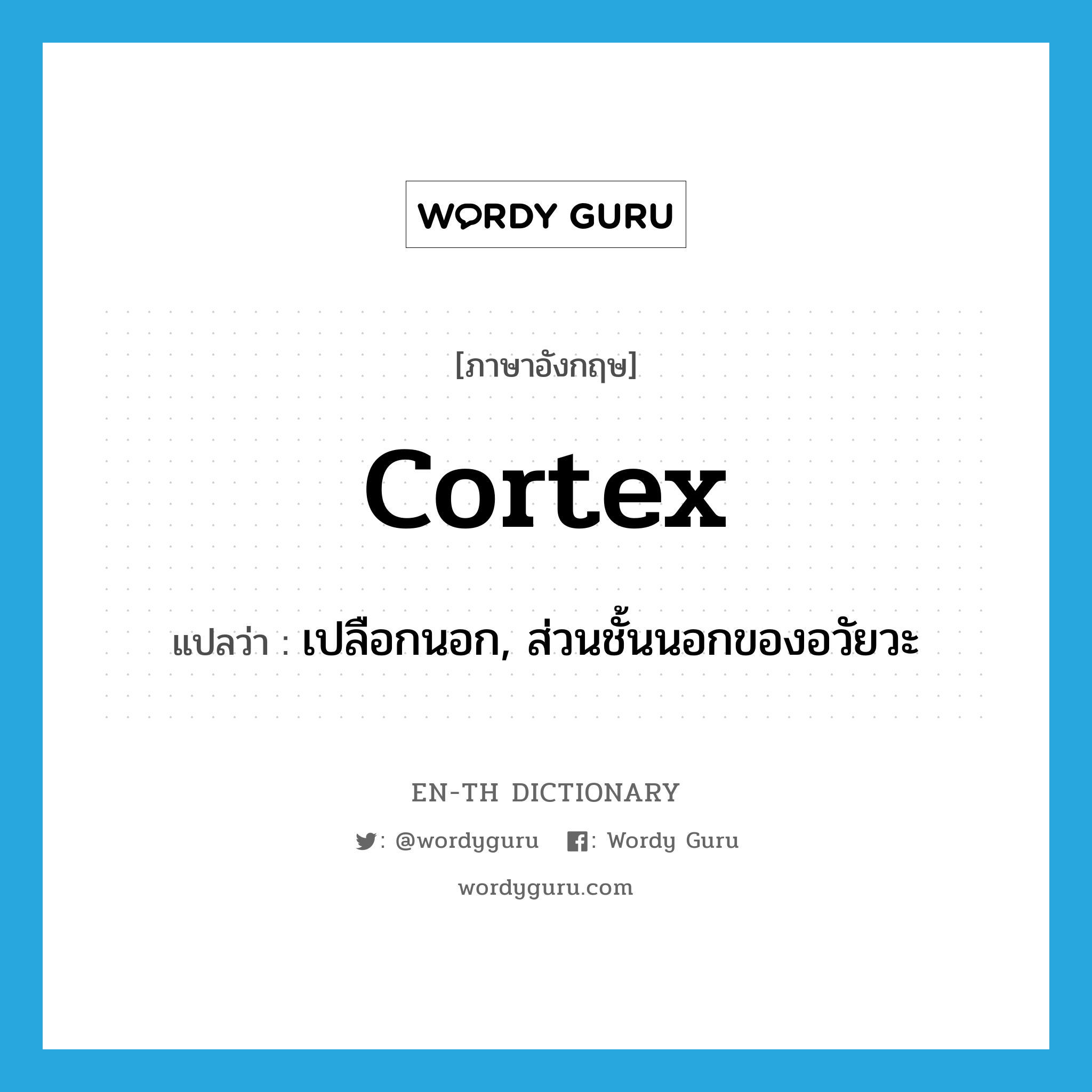 cortex แปลว่า?, คำศัพท์ภาษาอังกฤษ cortex แปลว่า เปลือกนอก, ส่วนชั้นนอกของอวัยวะ ประเภท N หมวด N