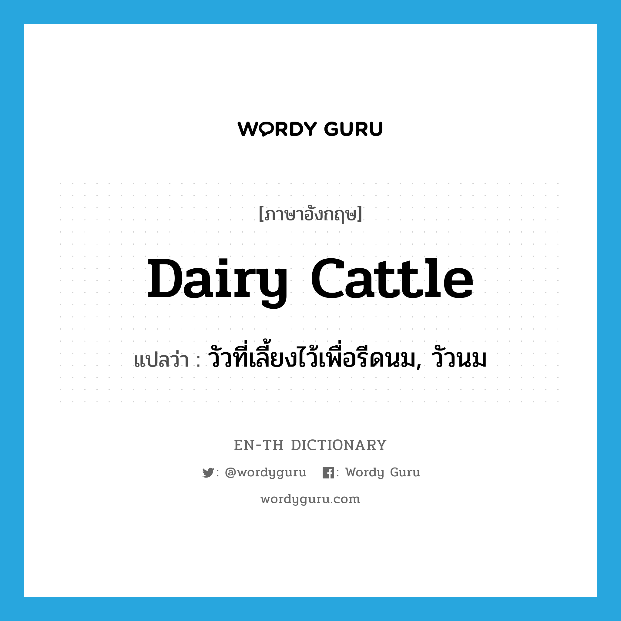 dairy cattle แปลว่า?, คำศัพท์ภาษาอังกฤษ dairy cattle แปลว่า วัวที่เลี้ยงไว้เพื่อรีดนม, วัวนม ประเภท N หมวด N