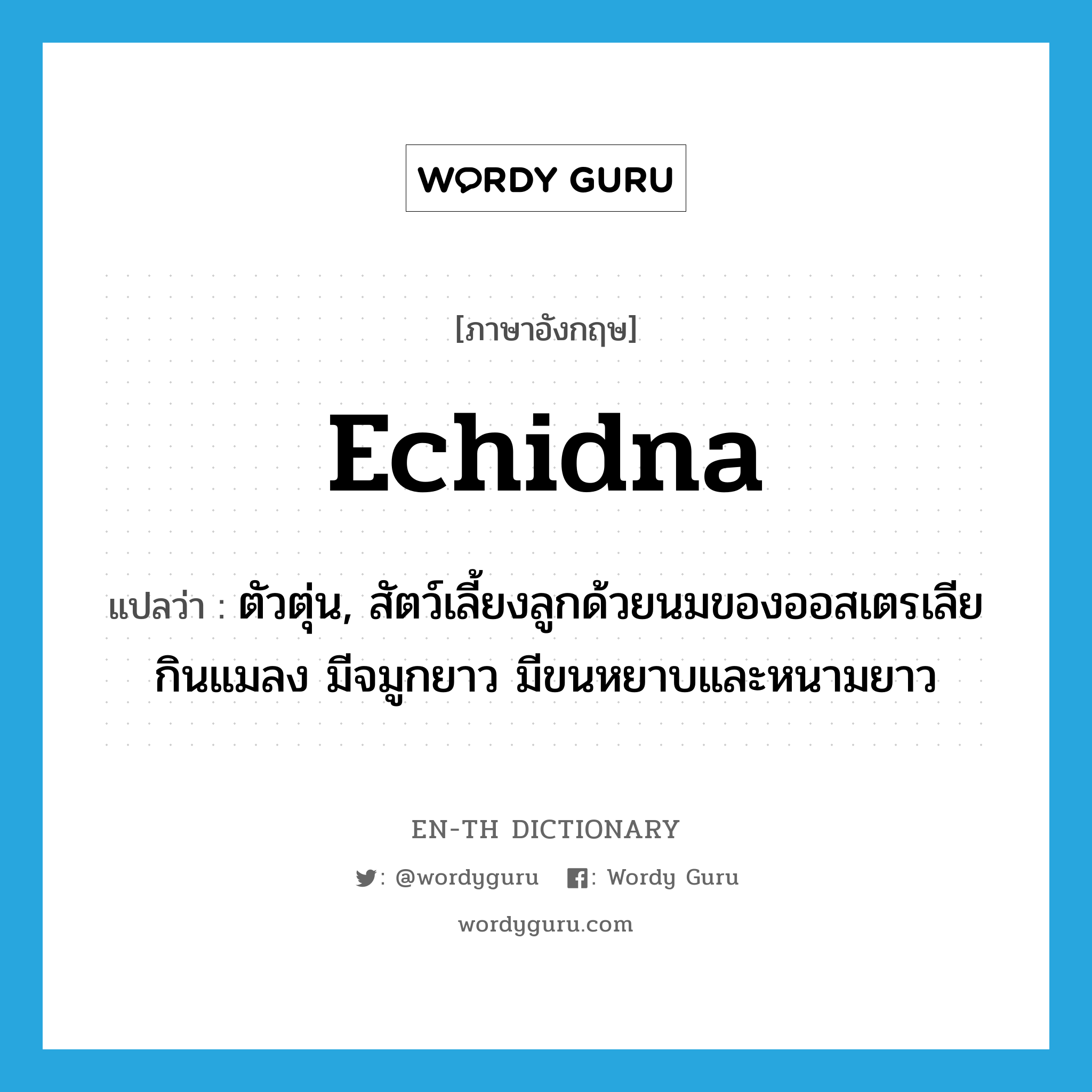 echidna แปลว่า?, คำศัพท์ภาษาอังกฤษ echidna แปลว่า ตัวตุ่น, สัตว์เลี้ยงลูกด้วยนมของออสเตรเลีย กินแมลง มีจมูกยาว มีขนหยาบและหนามยาว ประเภท N หมวด N