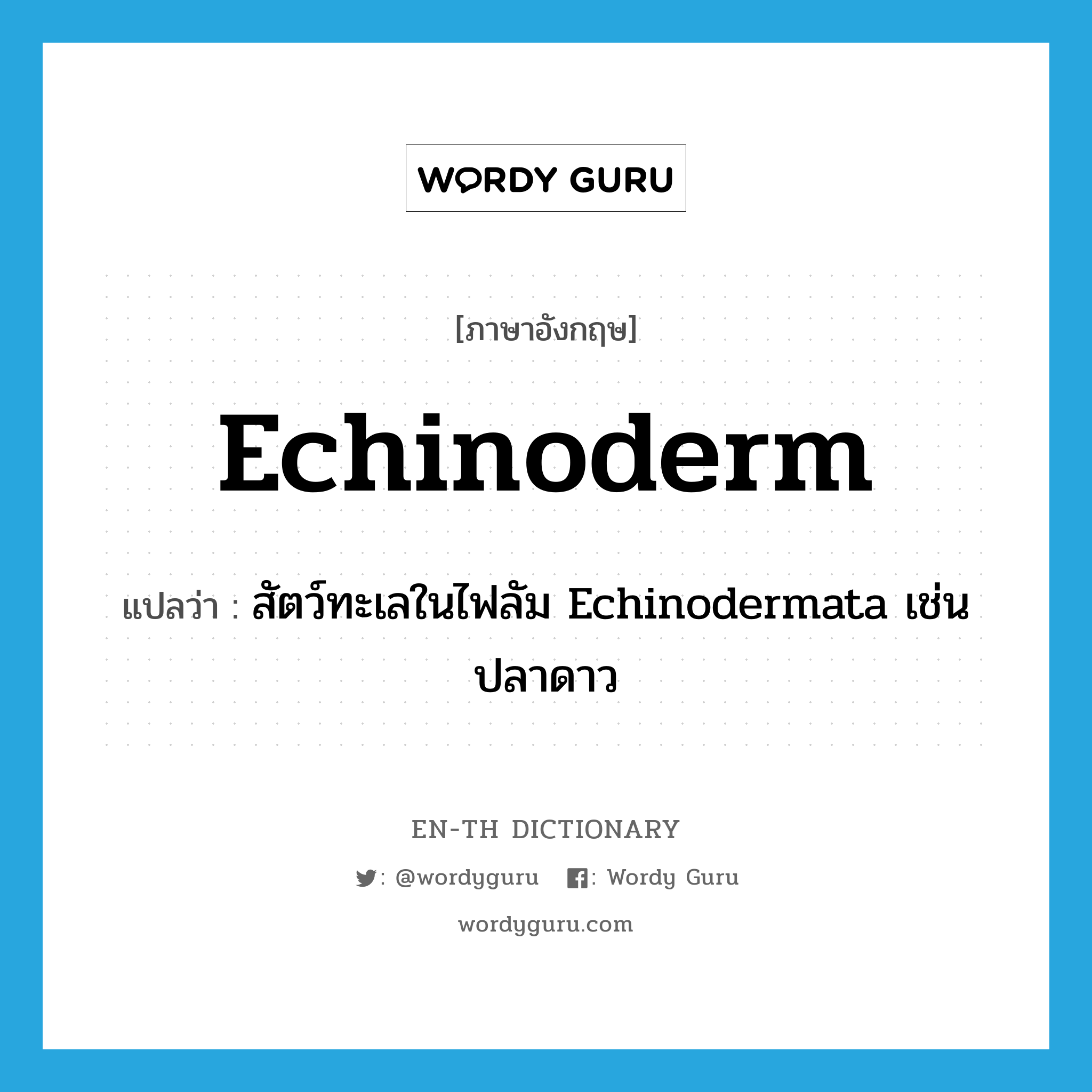 echinoderm แปลว่า?, คำศัพท์ภาษาอังกฤษ echinoderm แปลว่า สัตว์ทะเลในไฟลัม Echinodermata เช่น ปลาดาว ประเภท N หมวด N