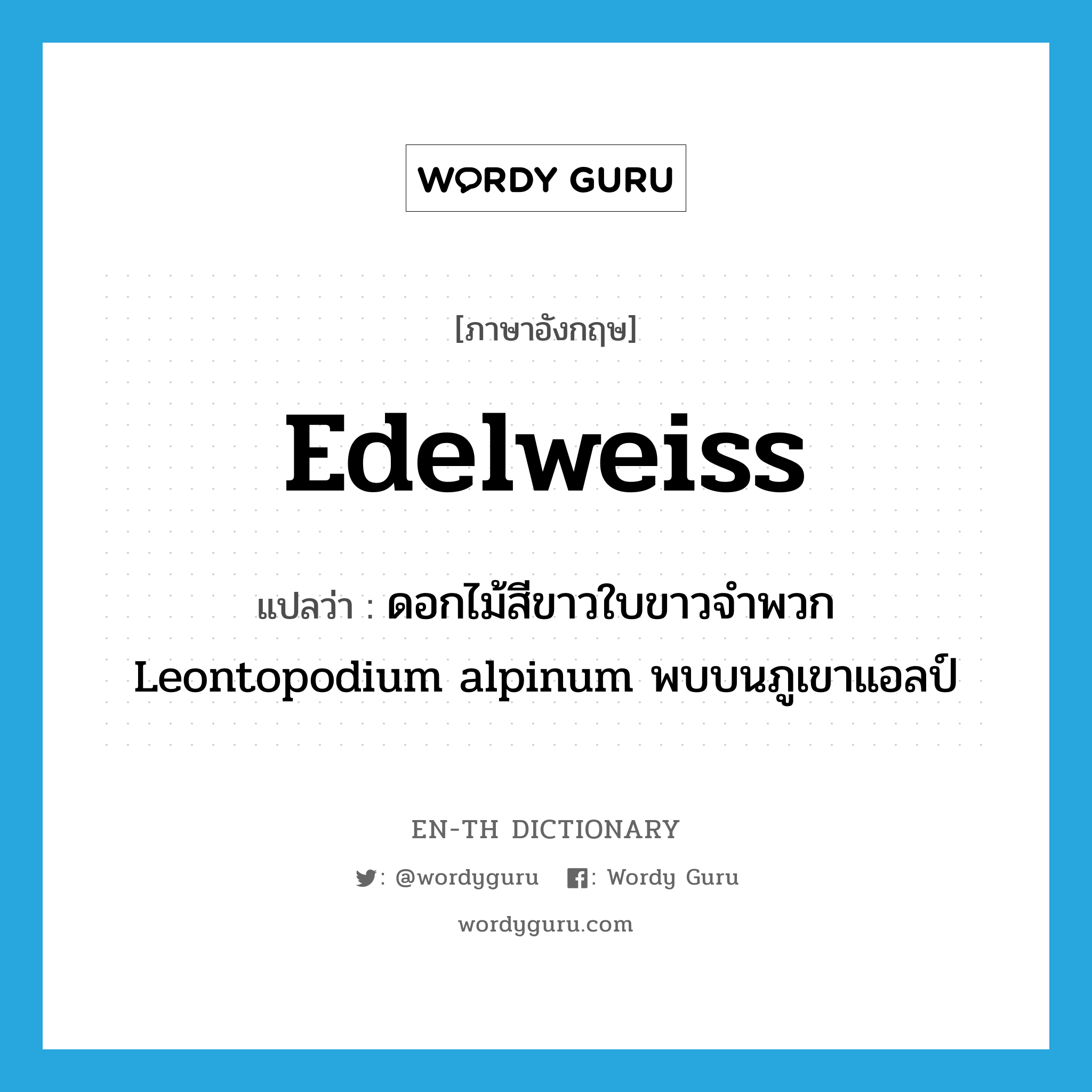 edelweiss แปลว่า?, คำศัพท์ภาษาอังกฤษ edelweiss แปลว่า ดอกไม้สีขาวใบขาวจำพวก Leontopodium alpinum พบบนภูเขาแอลป์ ประเภท N หมวด N