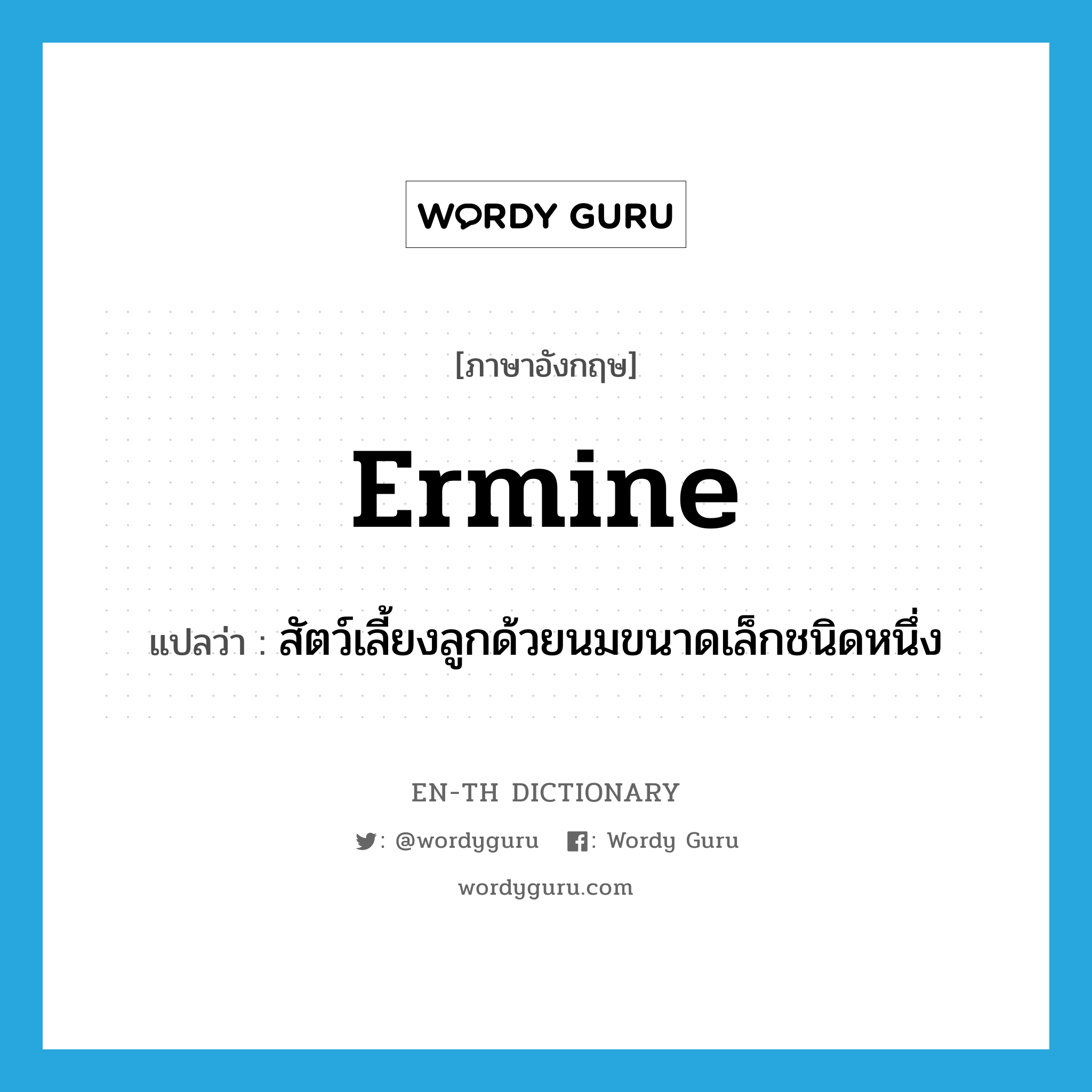 ermine แปลว่า?, คำศัพท์ภาษาอังกฤษ ermine แปลว่า สัตว์เลี้ยงลูกด้วยนมขนาดเล็กชนิดหนึ่ง ประเภท N หมวด N