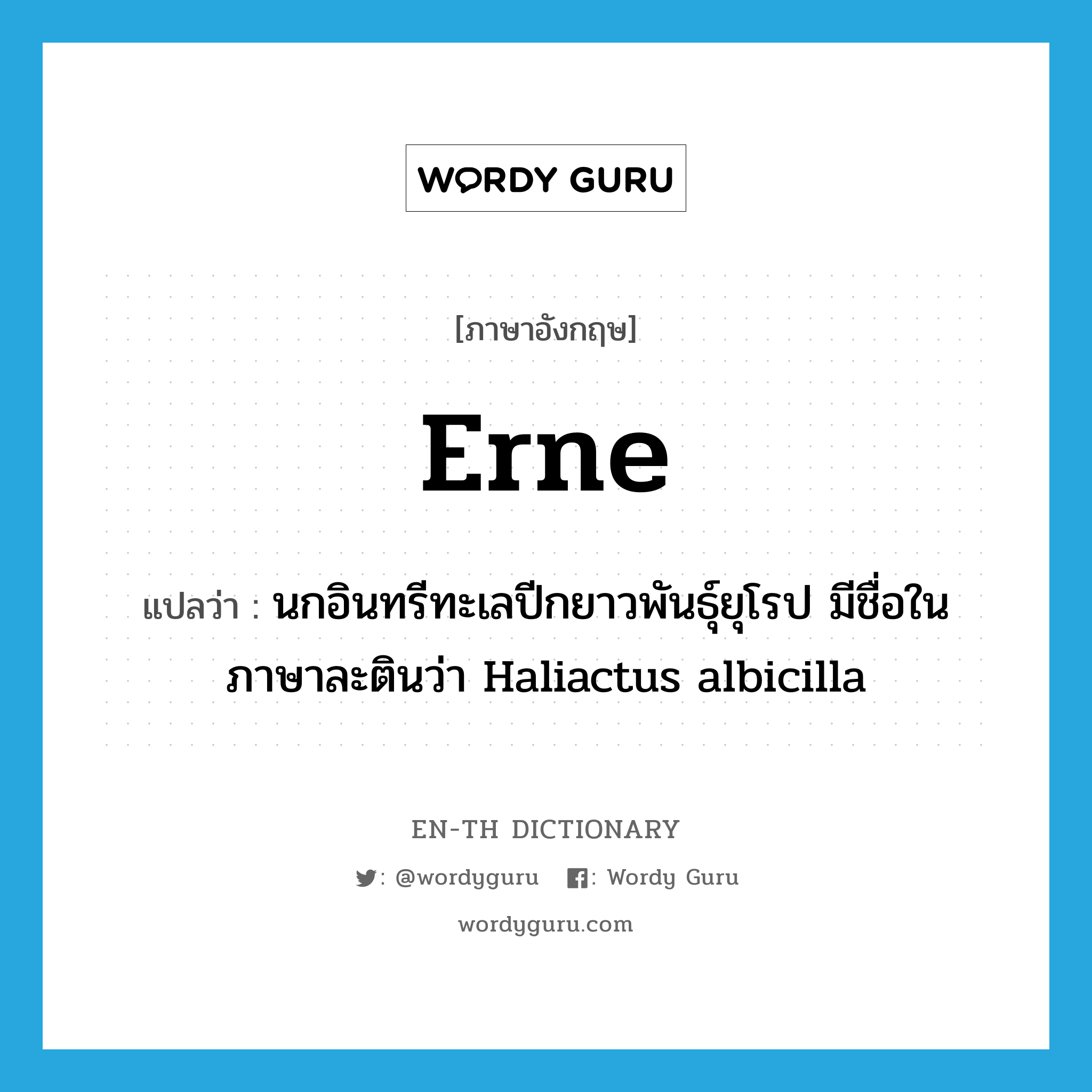 erne แปลว่า?, คำศัพท์ภาษาอังกฤษ erne แปลว่า นกอินทรีทะเลปีกยาวพันธุ์ยุโรป มีชื่อในภาษาละตินว่า Haliactus albicilla ประเภท N หมวด N