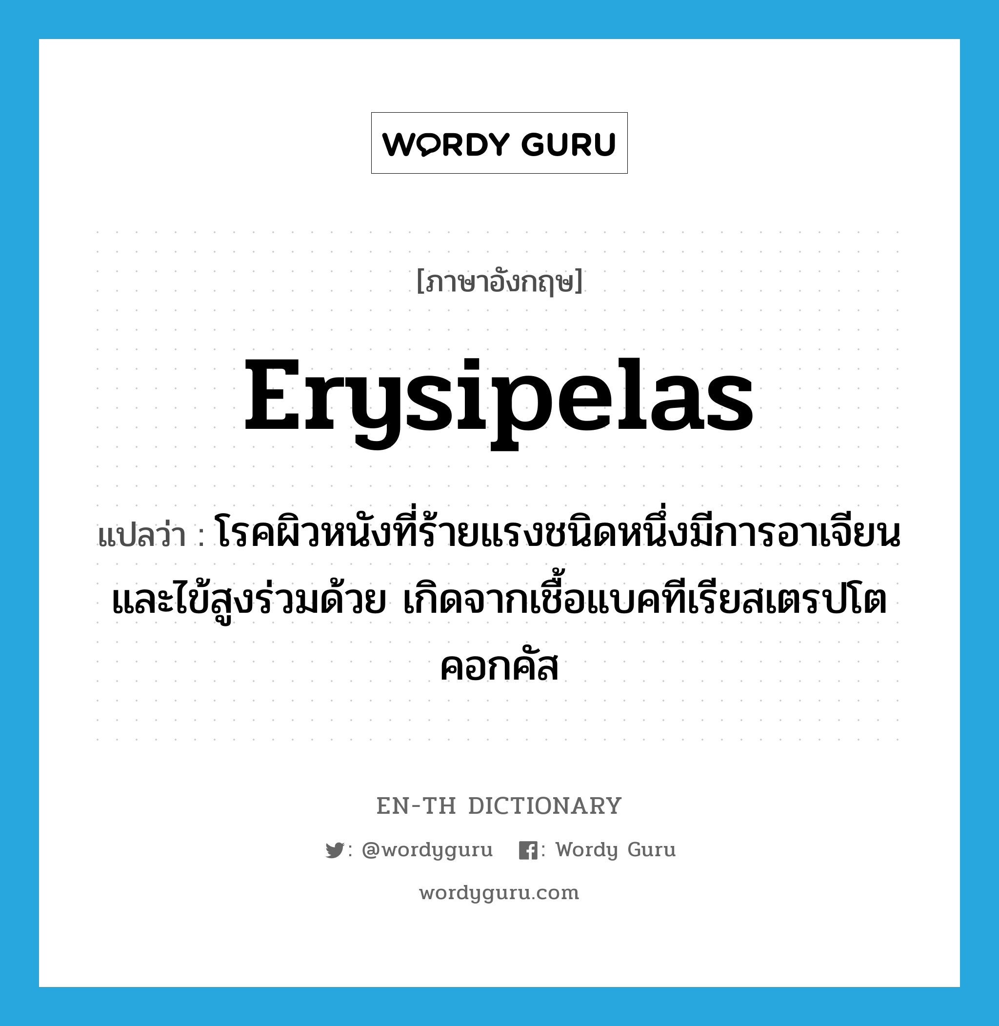 erysipelas แปลว่า?, คำศัพท์ภาษาอังกฤษ erysipelas แปลว่า โรคผิวหนังที่ร้ายแรงชนิดหนึ่งมีการอาเจียนและไข้สูงร่วมด้วย เกิดจากเชื้อแบคทีเรียสเตรปโตคอกคัส ประเภท N หมวด N