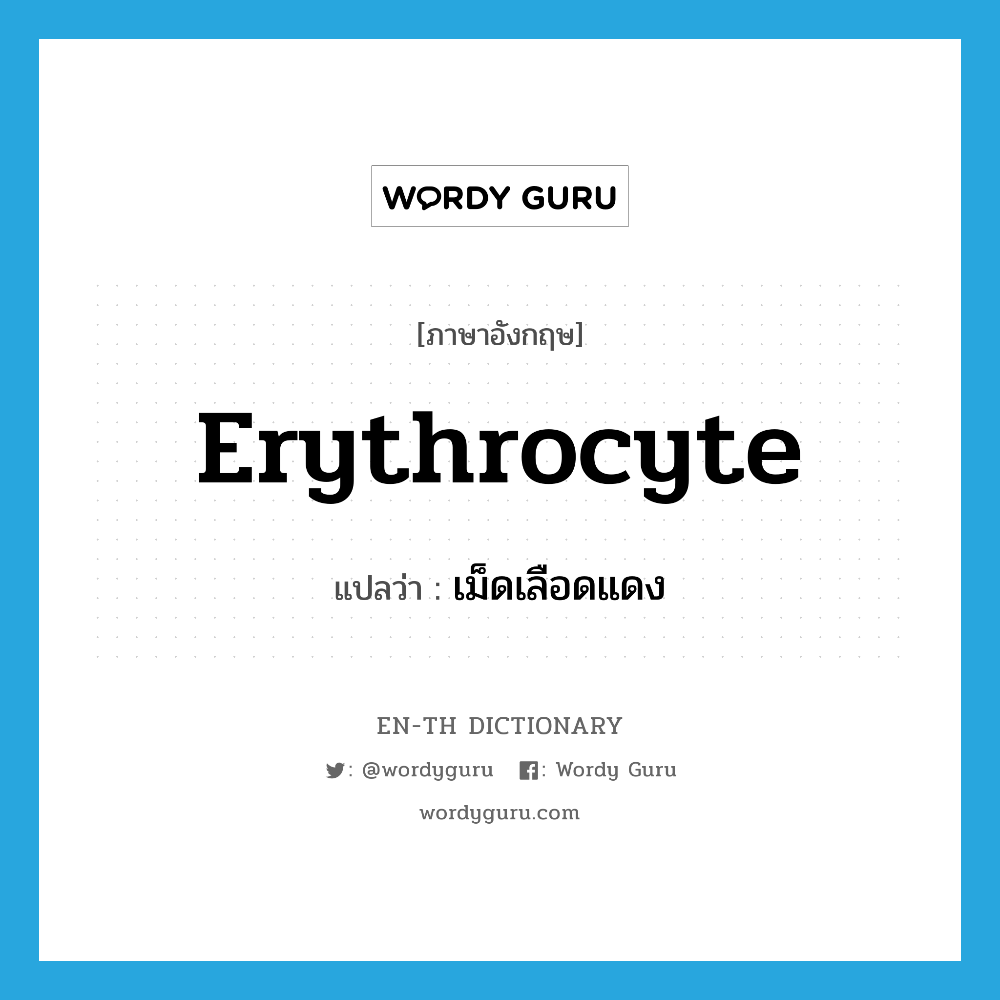 erythrocyte แปลว่า?, คำศัพท์ภาษาอังกฤษ erythrocyte แปลว่า เม็ดเลือดแดง ประเภท N หมวด N