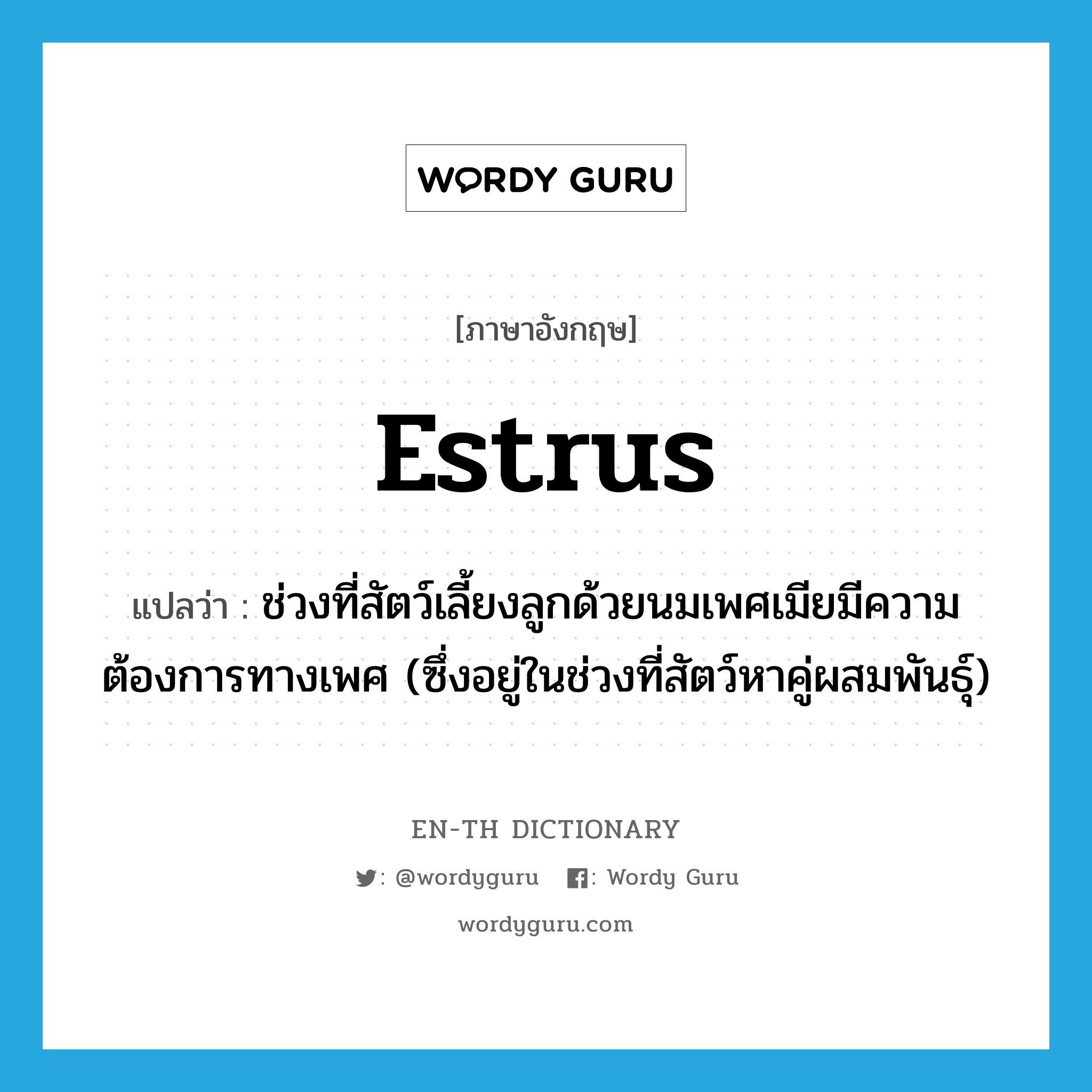 estrus แปลว่า?, คำศัพท์ภาษาอังกฤษ estrus แปลว่า ช่วงที่สัตว์เลี้ยงลูกด้วยนมเพศเมียมีความต้องการทางเพศ (ซึ่งอยู่ในช่วงที่สัตว์หาคู่ผสมพันธุ์) ประเภท N หมวด N