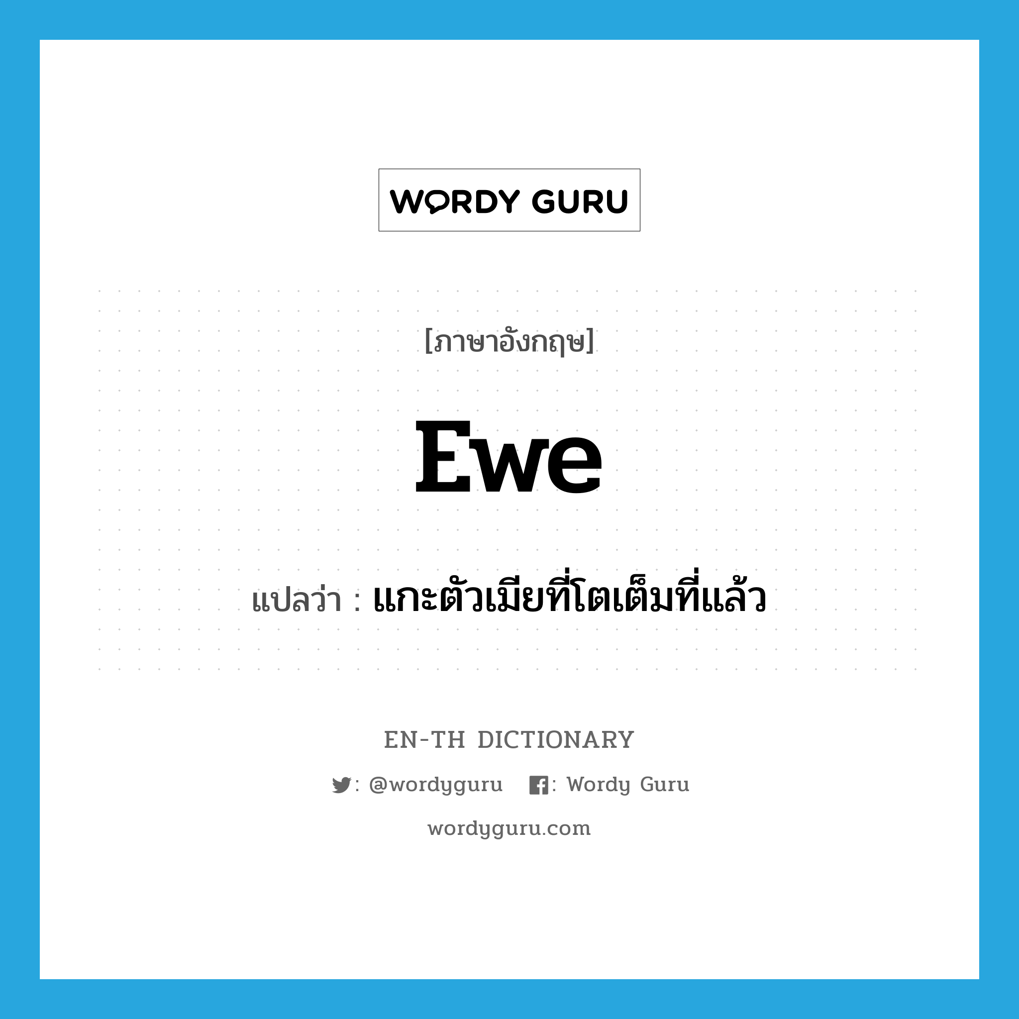 ewe แปลว่า?, คำศัพท์ภาษาอังกฤษ ewe แปลว่า แกะตัวเมียที่โตเต็มที่แล้ว ประเภท N หมวด N