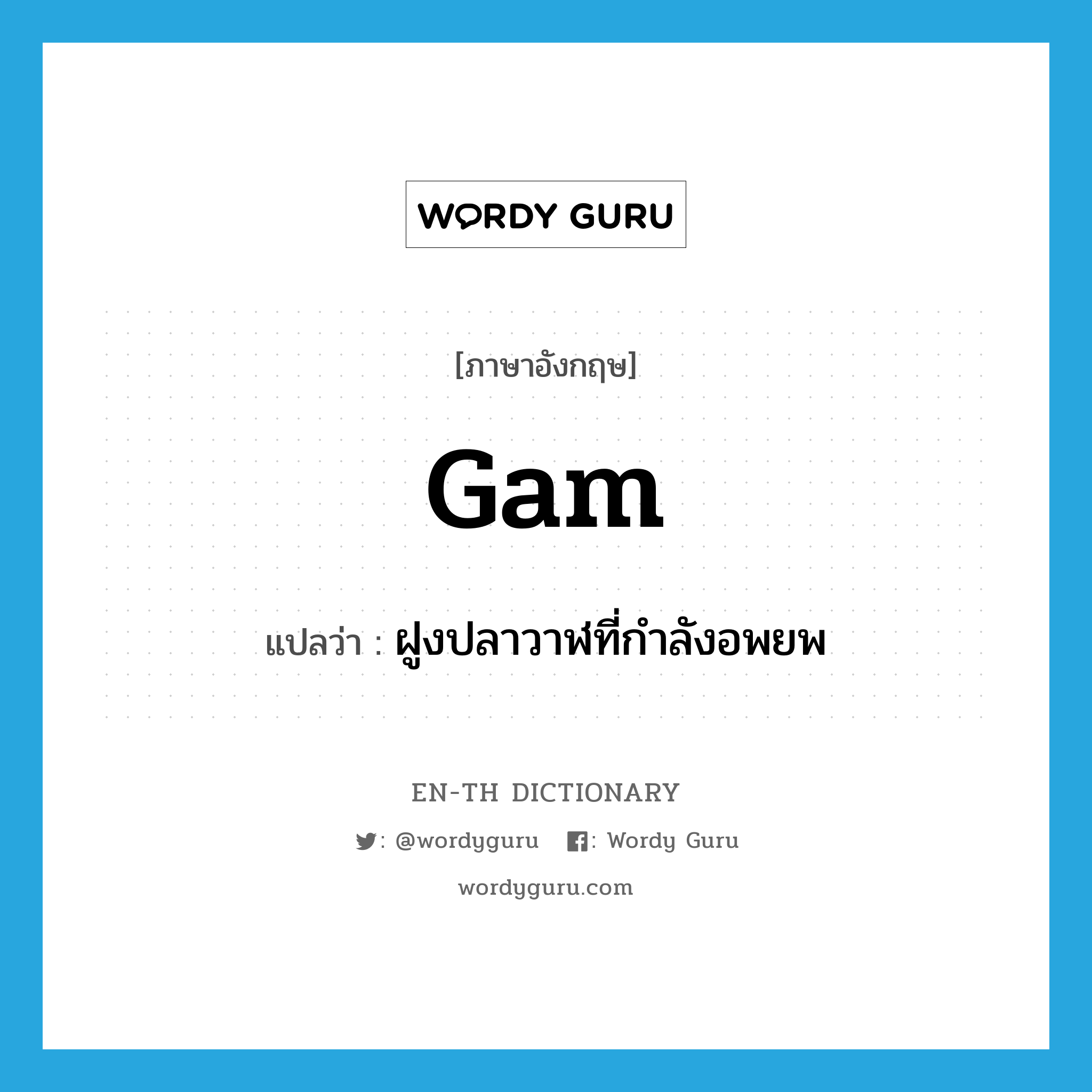 gam แปลว่า?, คำศัพท์ภาษาอังกฤษ gam แปลว่า ฝูงปลาวาฬที่กำลังอพยพ ประเภท N หมวด N