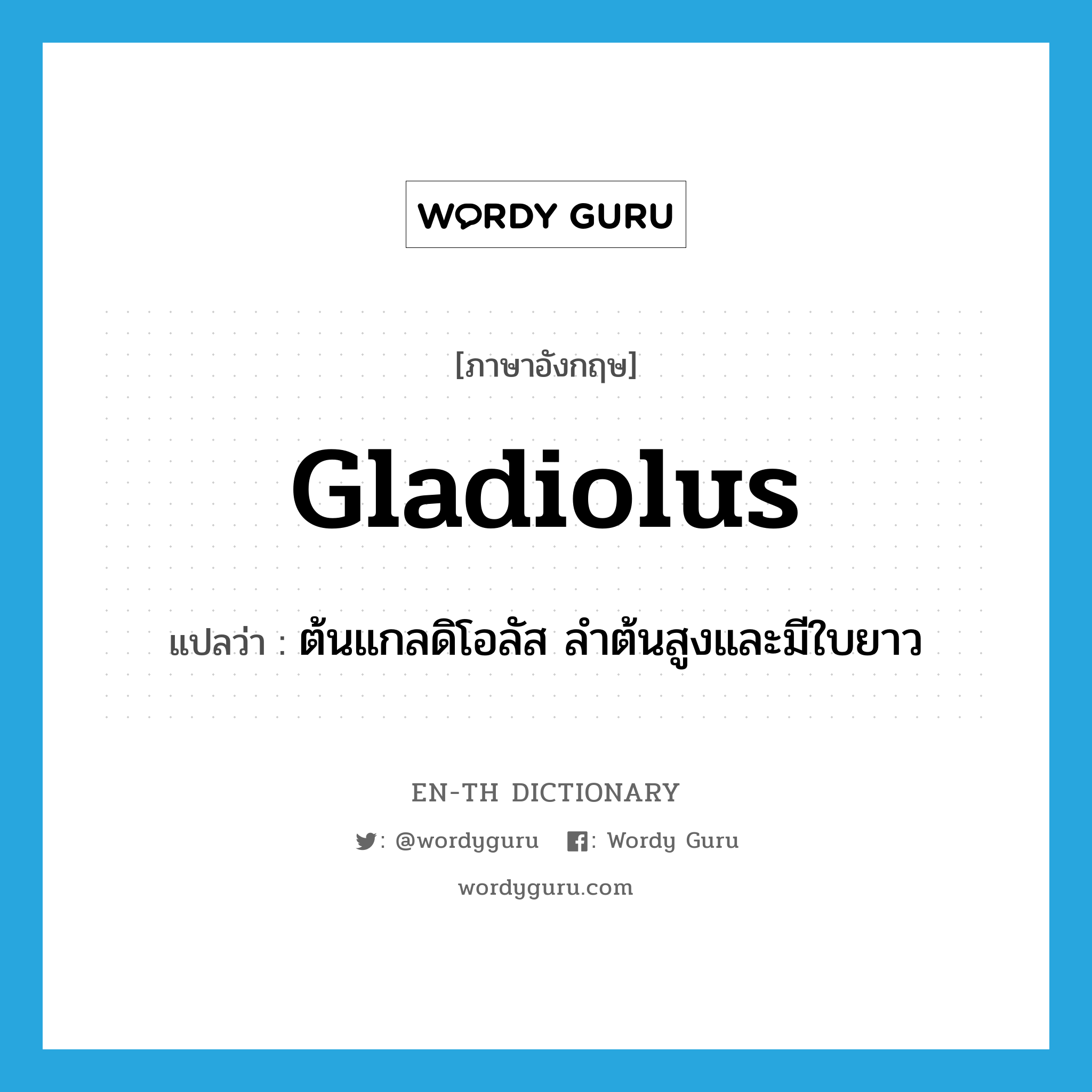 gladiolus แปลว่า?, คำศัพท์ภาษาอังกฤษ gladiolus แปลว่า ต้นแกลดิโอลัส ลำต้นสูงและมีใบยาว ประเภท N หมวด N