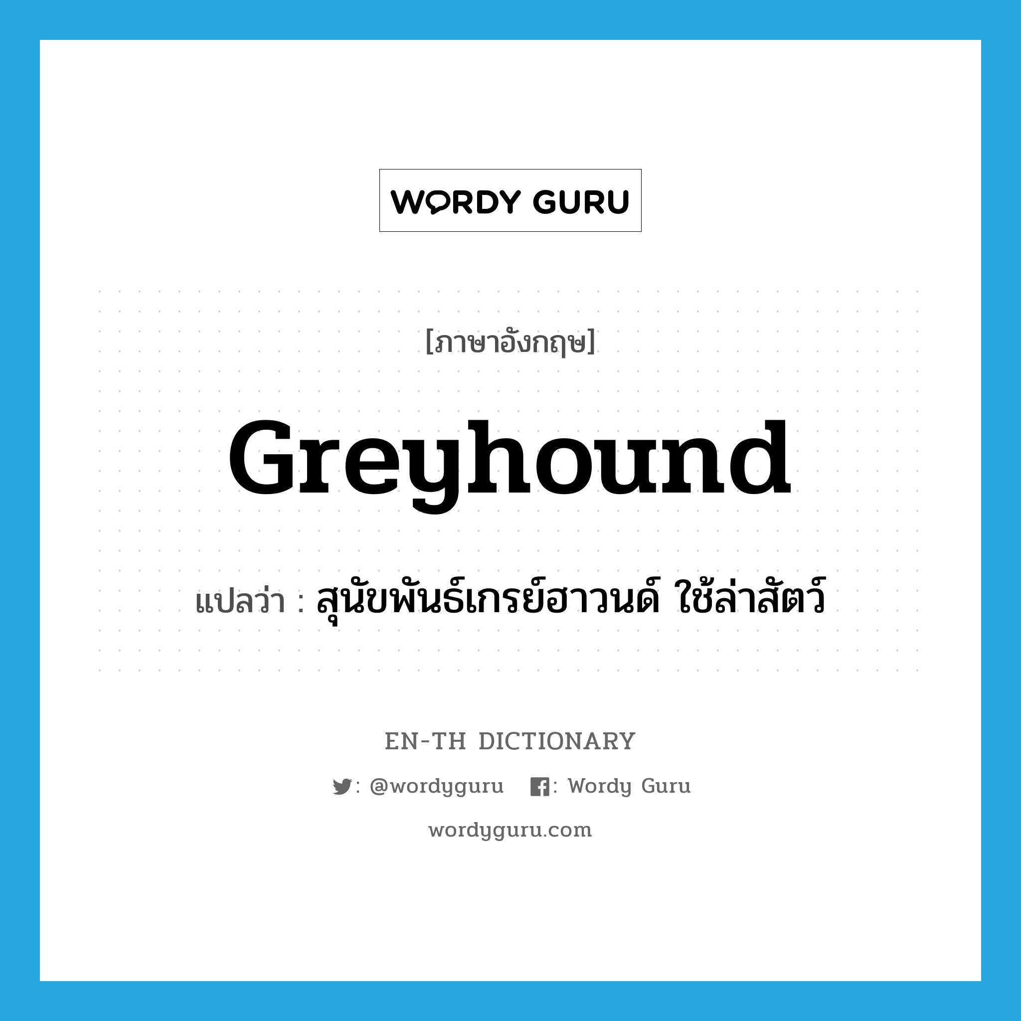 greyhound แปลว่า?, คำศัพท์ภาษาอังกฤษ greyhound แปลว่า สุนัขพันธ์เกรย์ฮาวนด์ ใช้ล่าสัตว์ ประเภท N หมวด N