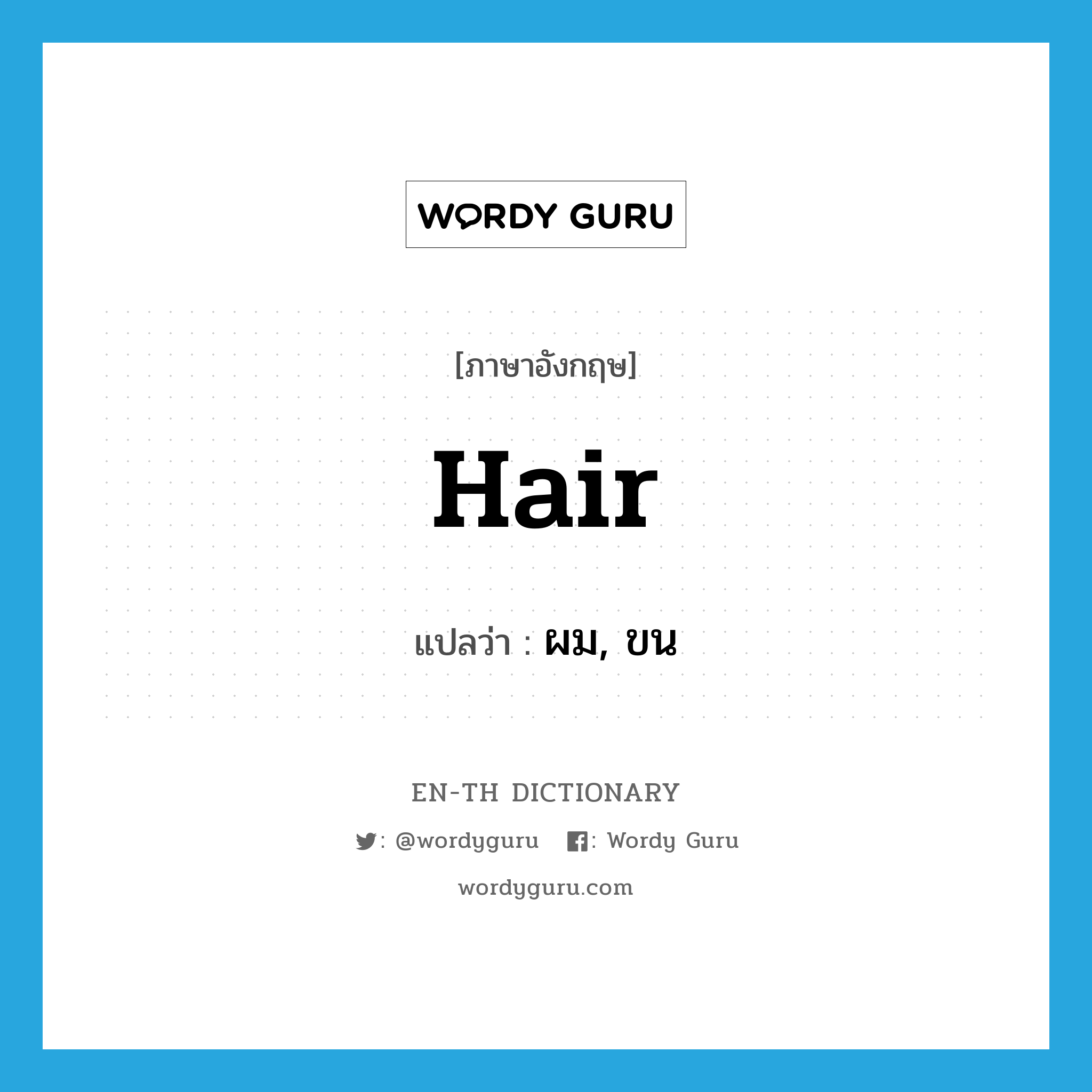 hair แปลว่า?, คำศัพท์ภาษาอังกฤษ hair แปลว่า ผม, ขน ประเภท N หมวด N