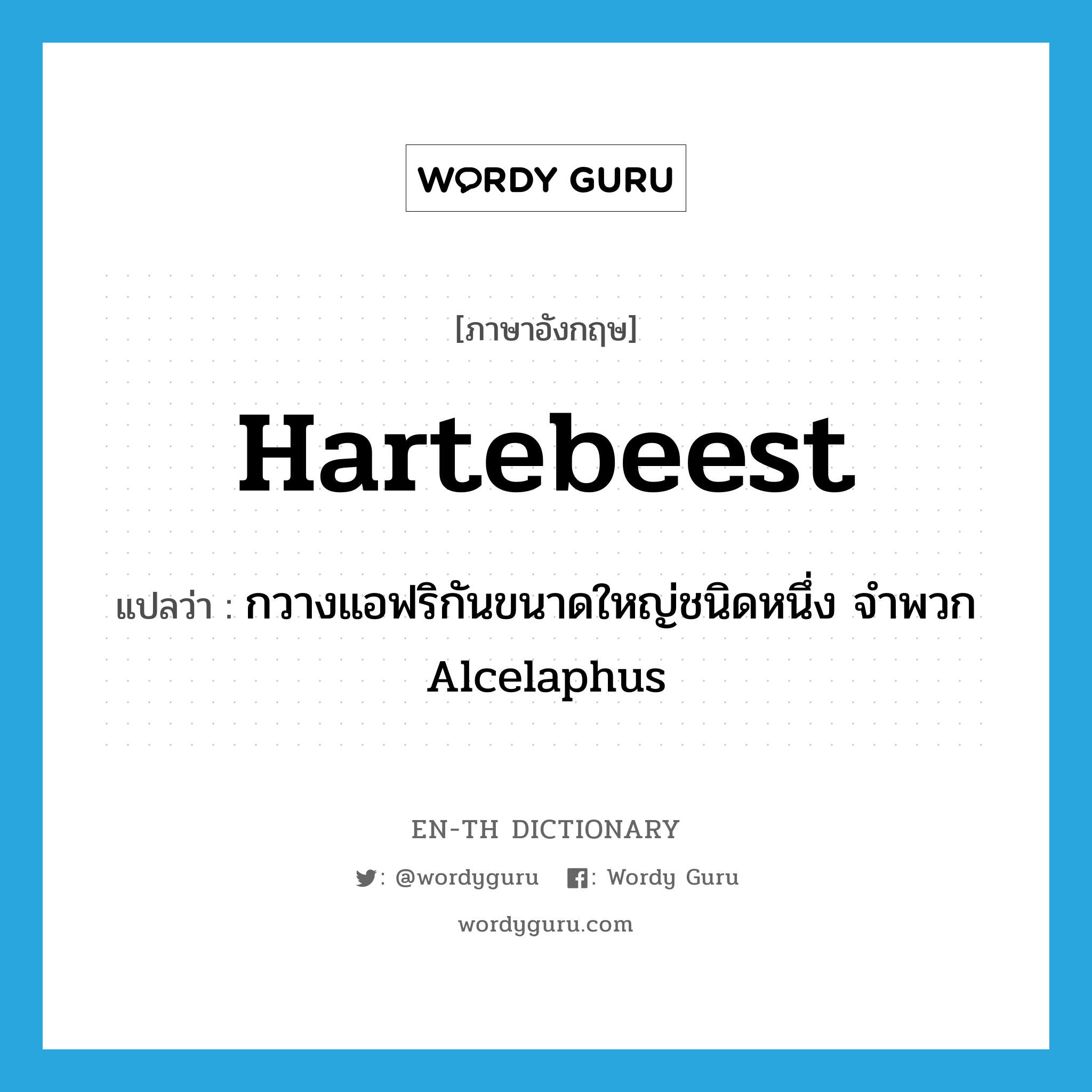 hartebeest แปลว่า?, คำศัพท์ภาษาอังกฤษ hartebeest แปลว่า กวางแอฟริกันขนาดใหญ่ชนิดหนึ่ง จำพวก Alcelaphus ประเภท N หมวด N