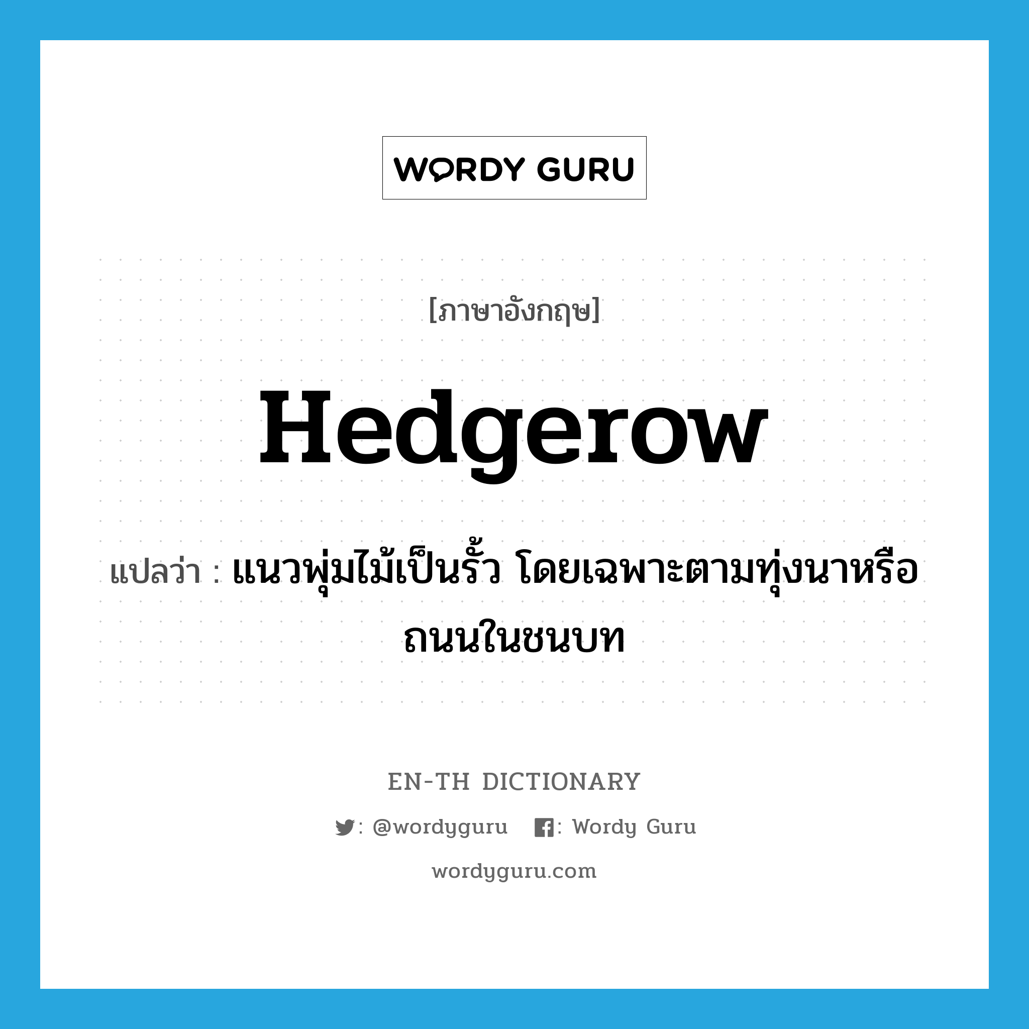 hedgerow แปลว่า?, คำศัพท์ภาษาอังกฤษ hedgerow แปลว่า แนวพุ่มไม้เป็นรั้ว โดยเฉพาะตามทุ่งนาหรือถนนในชนบท ประเภท N หมวด N