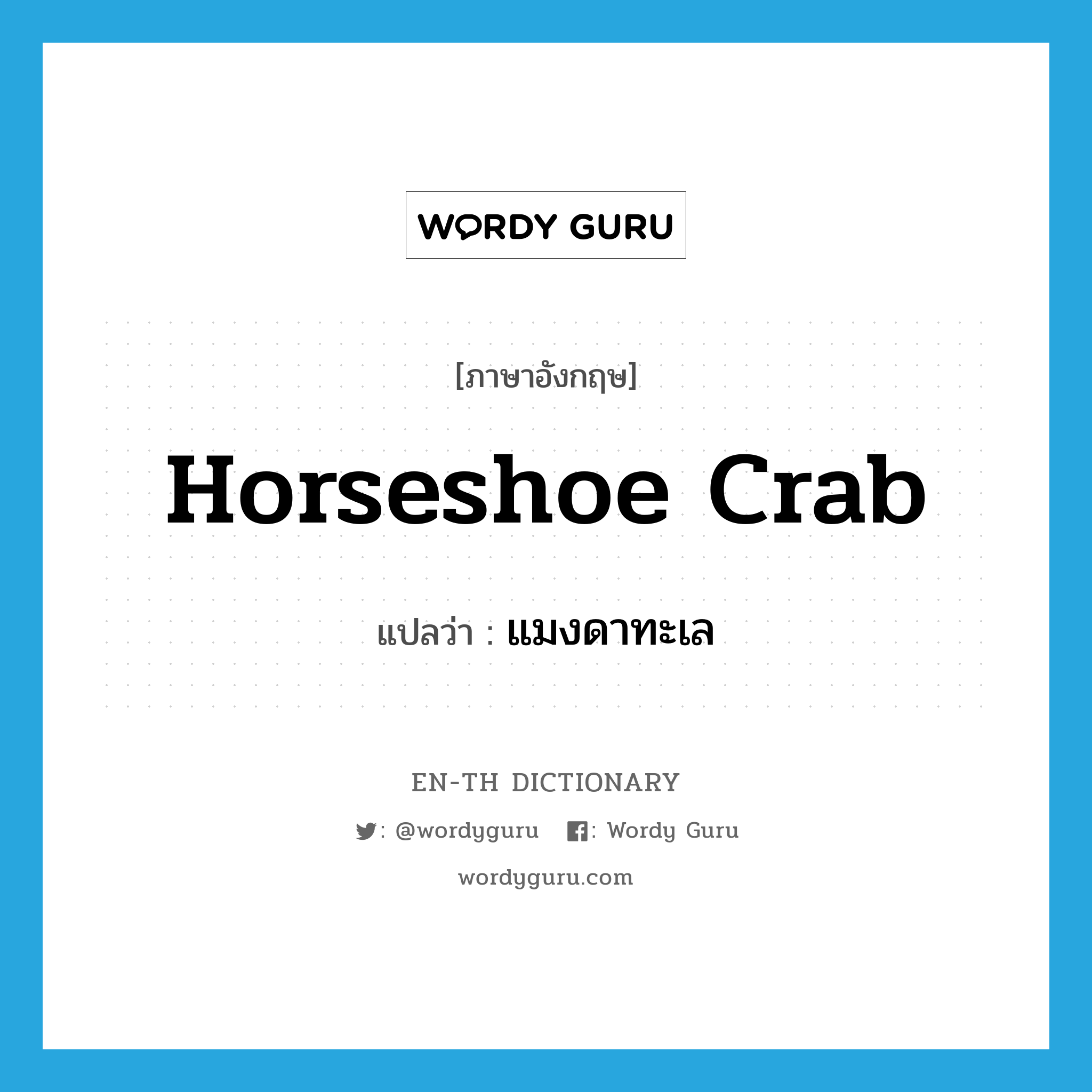 horseshoe crab แปลว่า?, คำศัพท์ภาษาอังกฤษ horseshoe crab แปลว่า แมงดาทะเล ประเภท N หมวด N