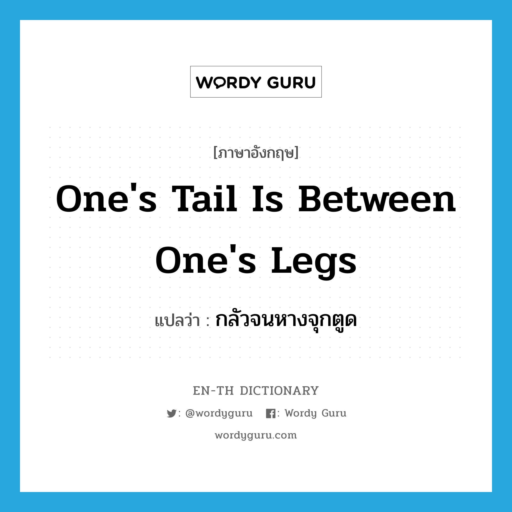 one&#39;s tail is between one&#39;s legs แปลว่า?, คำศัพท์ภาษาอังกฤษ one&#39;s tail is between one&#39;s legs แปลว่า กลัวจนหางจุกตูด ประเภท IDM หมวด IDM