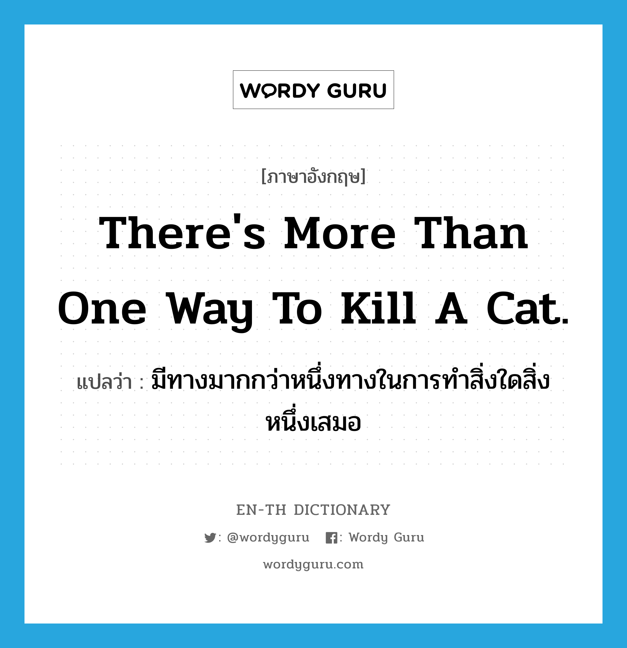 There&#39;s more than one way to kill a cat. แปลว่า?, คำศัพท์ภาษาอังกฤษ There&#39;s more than one way to kill a cat. แปลว่า มีทางมากกว่าหนึ่งทางในการทำสิ่งใดสิ่งหนึ่งเสมอ ประเภท IDM หมวด IDM