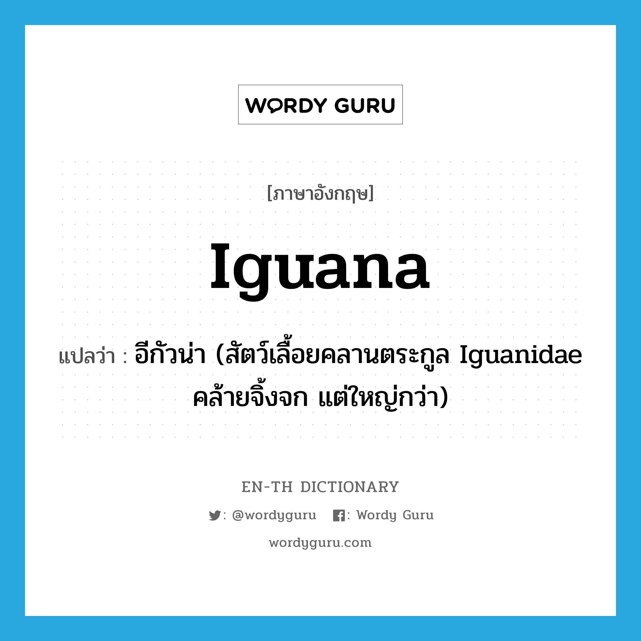 iguana แปลว่า?, คำศัพท์ภาษาอังกฤษ iguana แปลว่า อีกัวน่า (สัตว์เลื้อยคลานตระกูล Iguanidae คล้ายจิ้งจก แต่ใหญ่กว่า) ประเภท N หมวด N