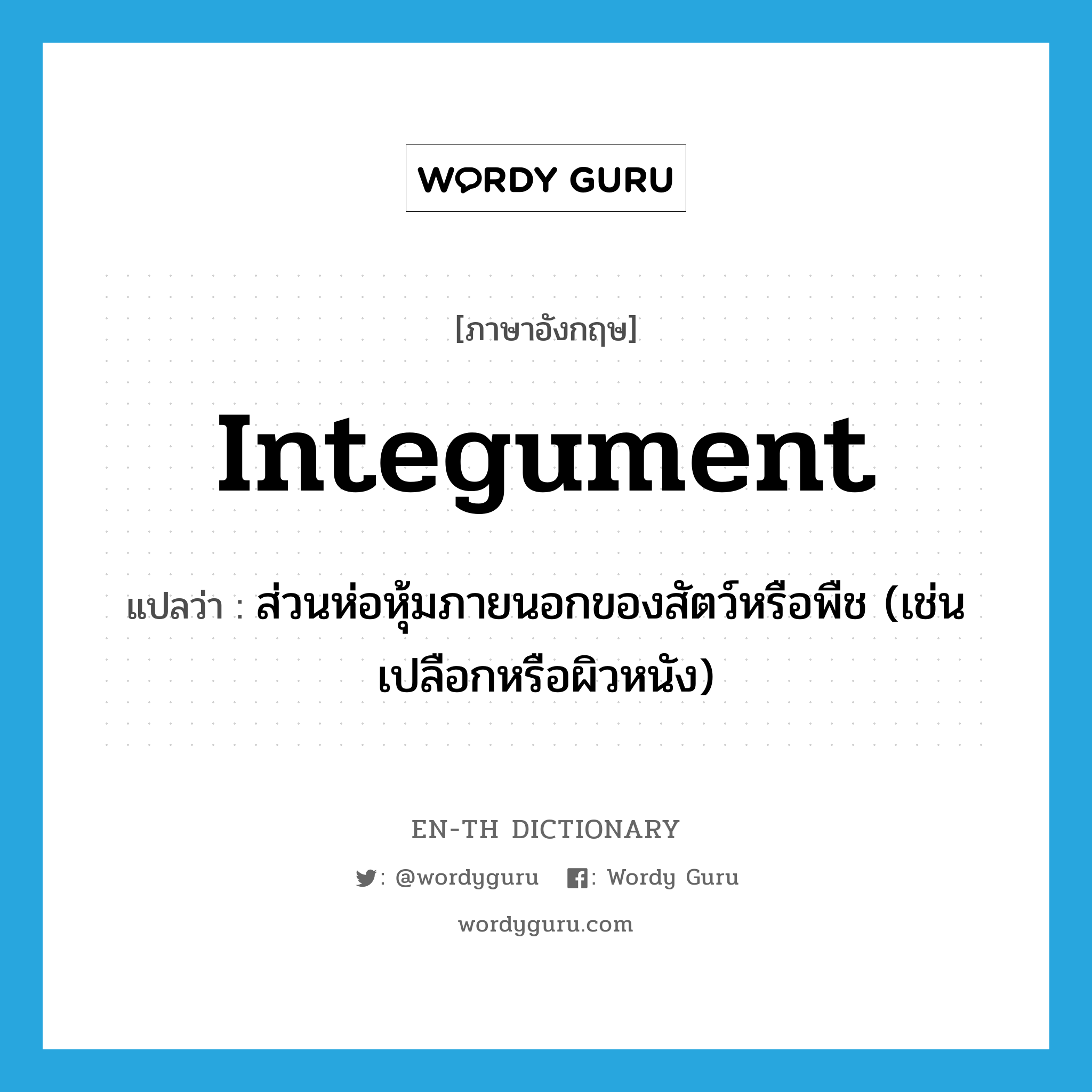 integument แปลว่า?, คำศัพท์ภาษาอังกฤษ integument แปลว่า ส่วนห่อหุ้มภายนอกของสัตว์หรือพืช (เช่น เปลือกหรือผิวหนัง) ประเภท N หมวด N