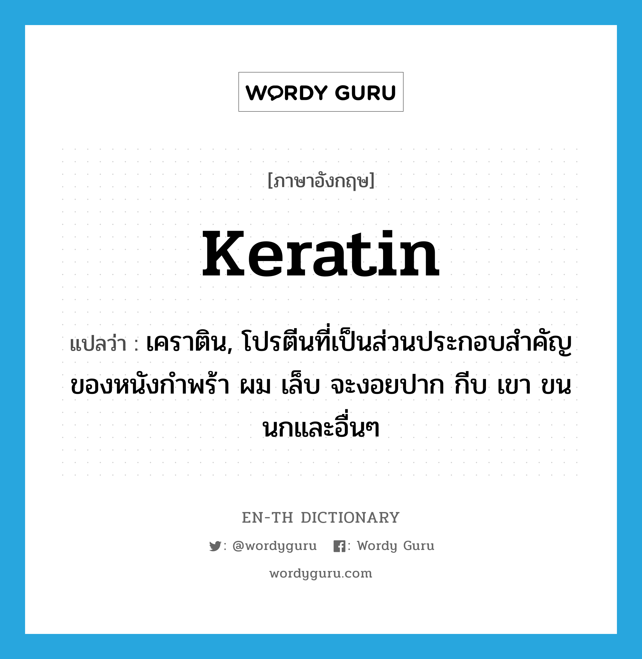 keratin แปลว่า?, คำศัพท์ภาษาอังกฤษ keratin แปลว่า เคราติน, โปรตีนที่เป็นส่วนประกอบสำคัญของหนังกำพร้า ผม เล็บ จะงอยปาก กีบ เขา ขนนกและอื่นๆ ประเภท N หมวด N