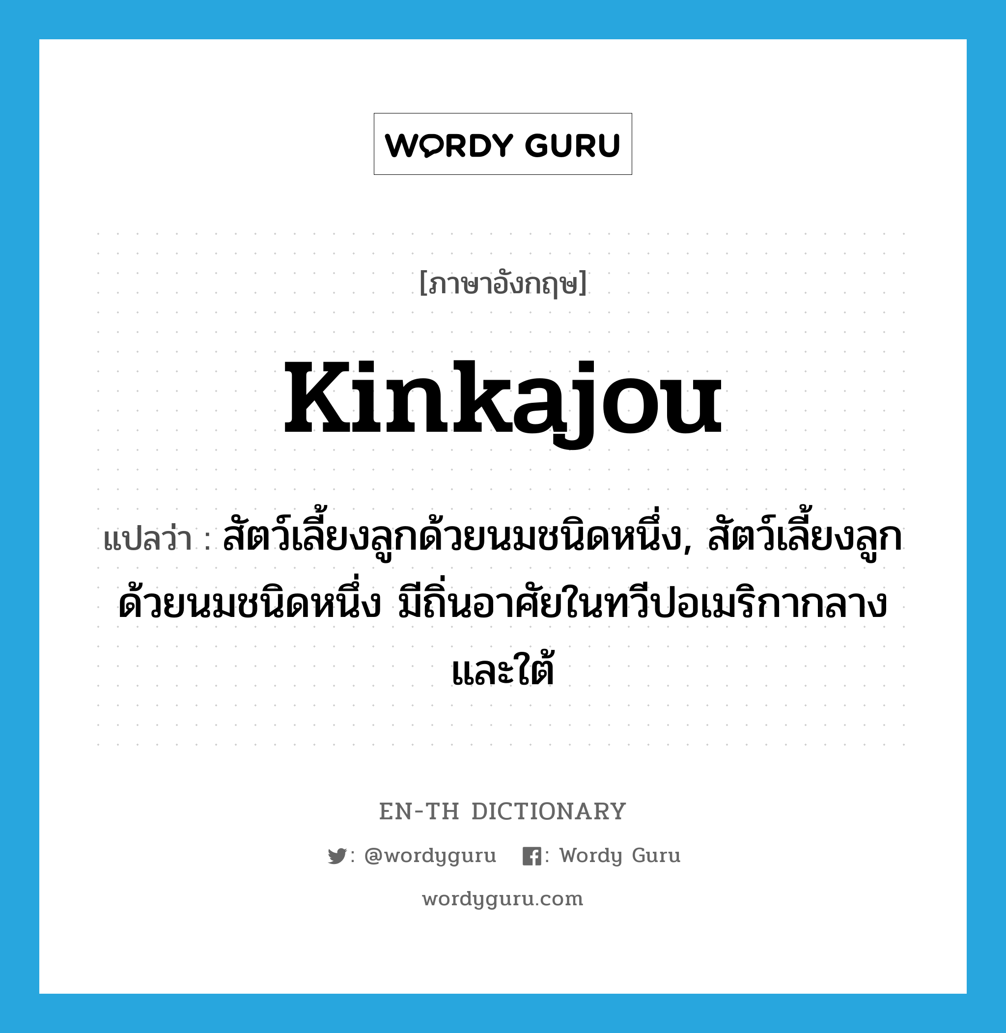 kinkajou แปลว่า?, คำศัพท์ภาษาอังกฤษ kinkajou แปลว่า สัตว์เลี้ยงลูกด้วยนมชนิดหนึ่ง, สัตว์เลี้ยงลูกด้วยนมชนิดหนึ่ง มีถิ่นอาศัยในทวีปอเมริกากลางและใต้ ประเภท N หมวด N