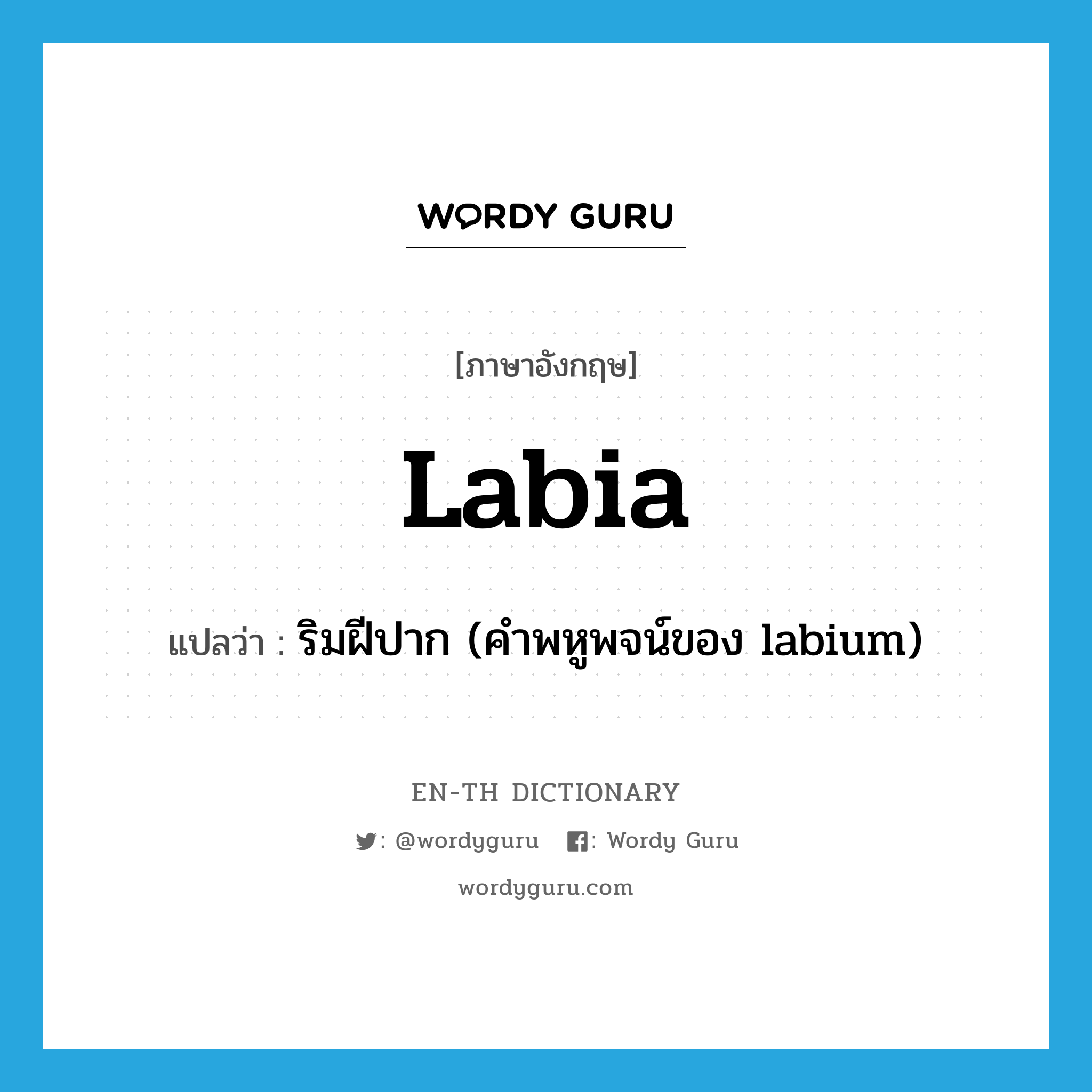 labia แปลว่า?, คำศัพท์ภาษาอังกฤษ labia แปลว่า ริมฝีปาก (คำพหูพจน์ของ labium) ประเภท N หมวด N