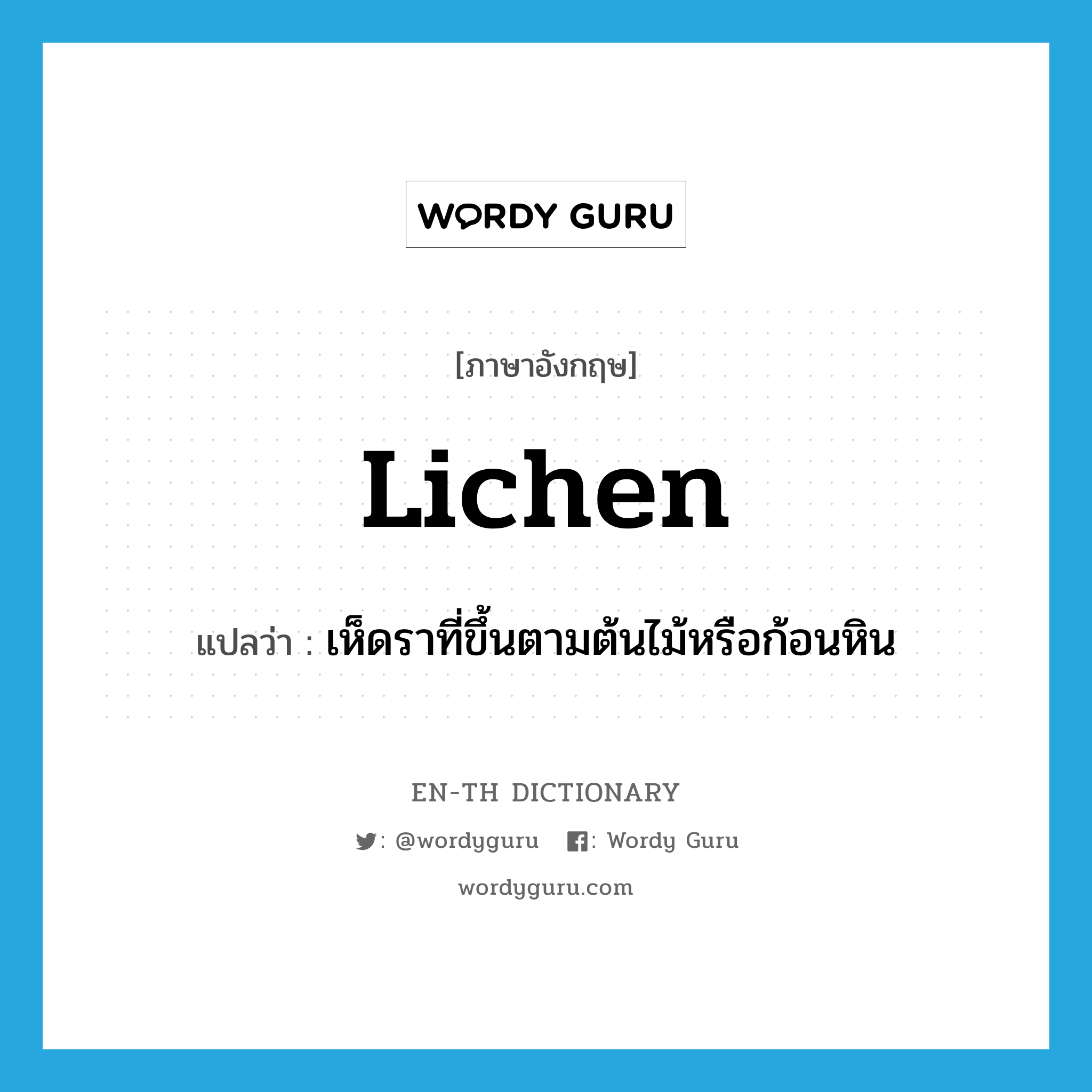 lichen แปลว่า?, คำศัพท์ภาษาอังกฤษ lichen แปลว่า เห็ดราที่ขึ้นตามต้นไม้หรือก้อนหิน ประเภท N หมวด N