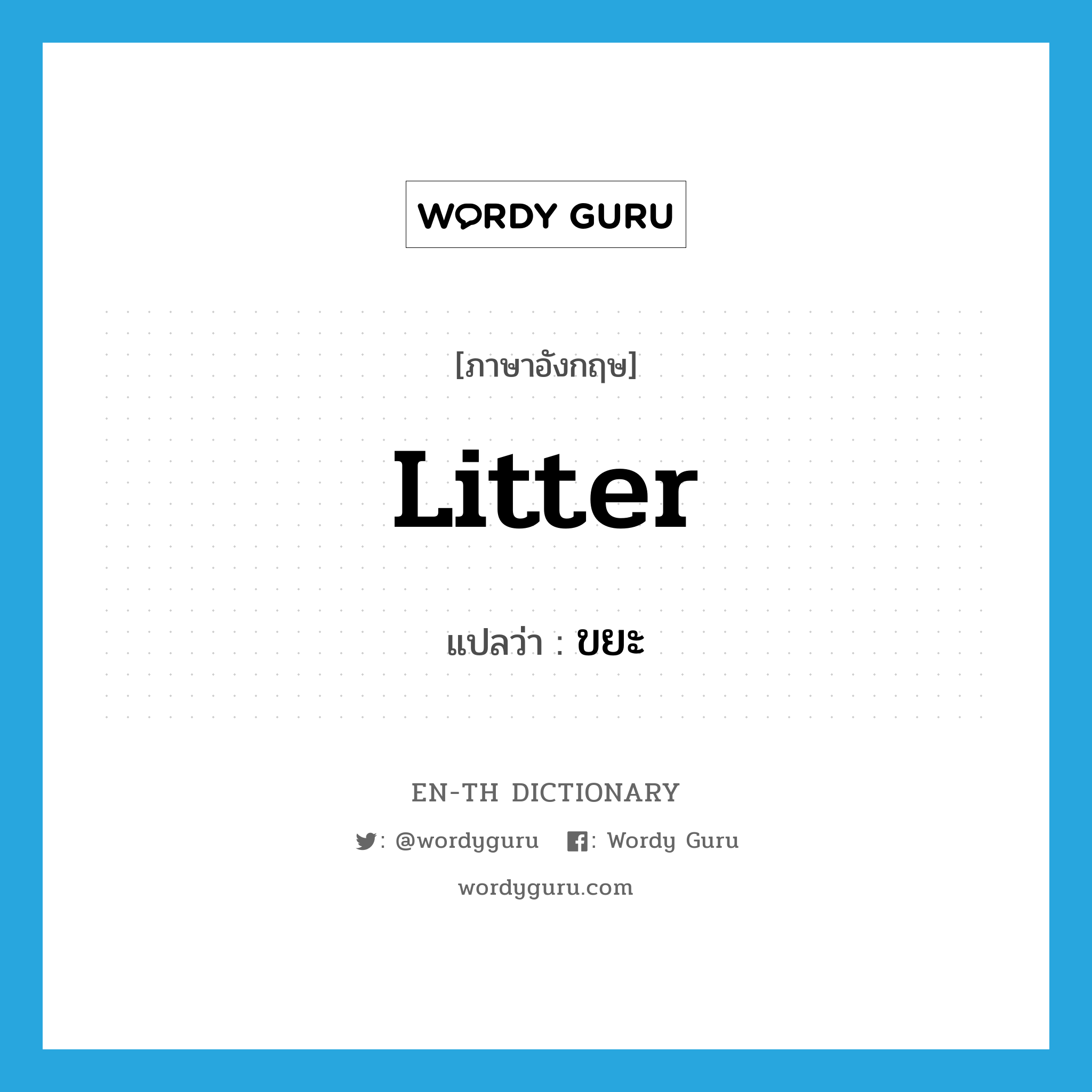 litter แปลว่า?, คำศัพท์ภาษาอังกฤษ litter แปลว่า ขยะ ประเภท N หมวด N