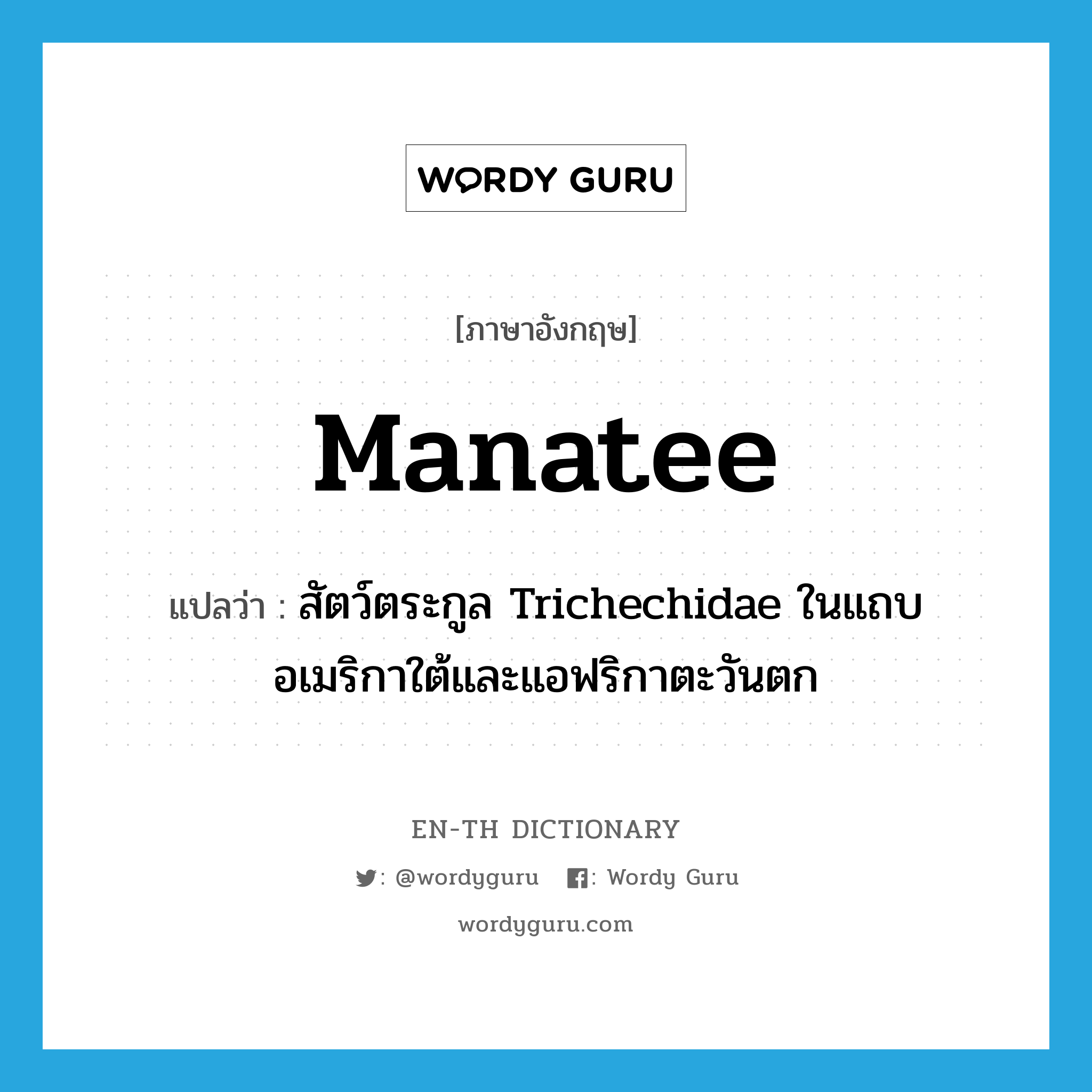 manatee แปลว่า?, คำศัพท์ภาษาอังกฤษ manatee แปลว่า สัตว์ตระกูล Trichechidae ในแถบอเมริกาใต้และแอฟริกาตะวันตก ประเภท N หมวด N