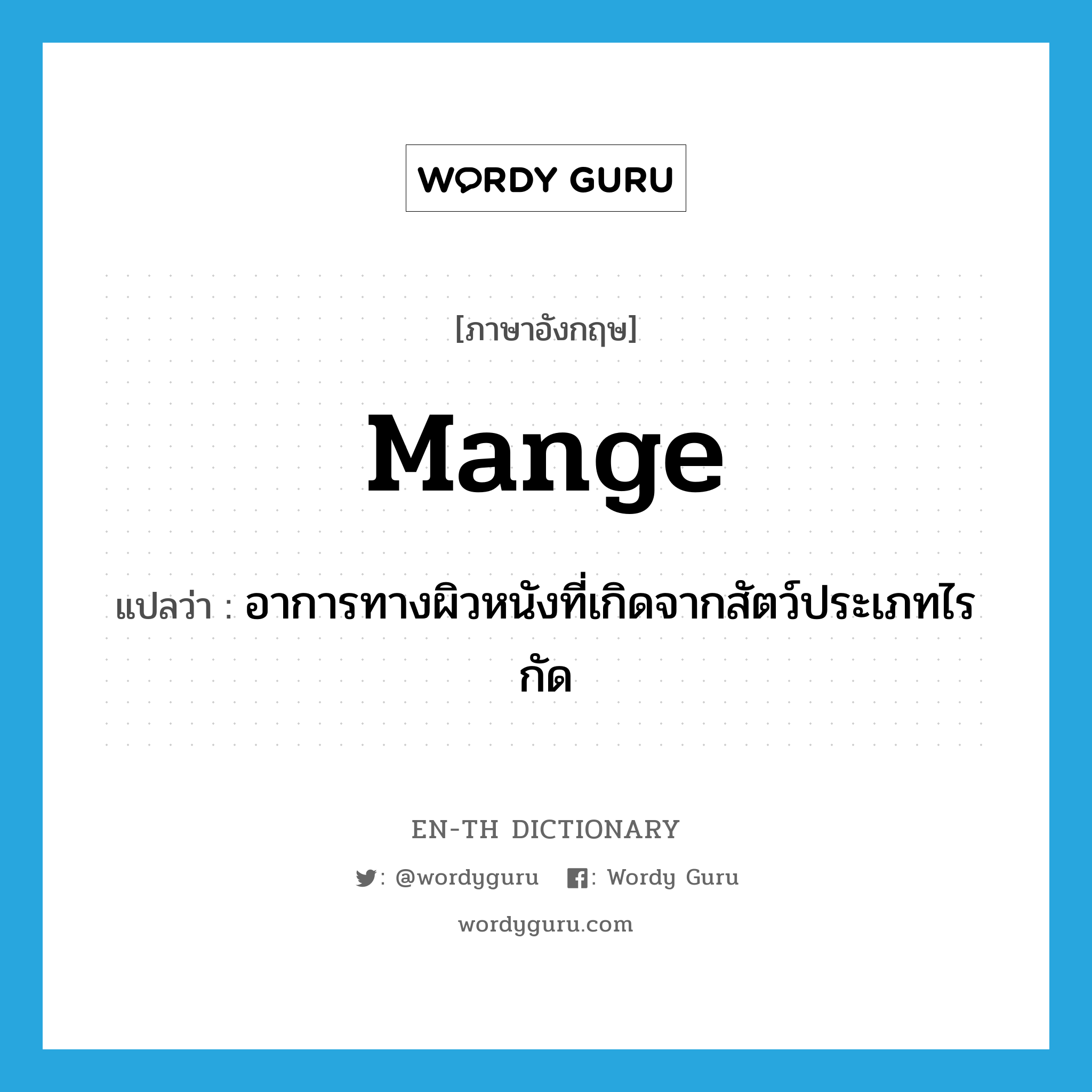 mange แปลว่า?, คำศัพท์ภาษาอังกฤษ mange แปลว่า อาการทางผิวหนังที่เกิดจากสัตว์ประเภทไรกัด ประเภท N หมวด N