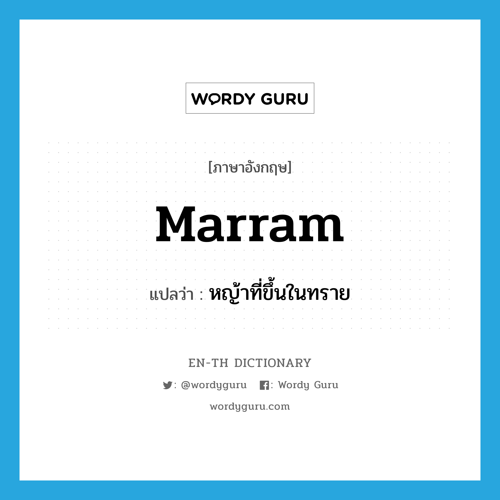 marram แปลว่า?, คำศัพท์ภาษาอังกฤษ marram แปลว่า หญ้าที่ขึ้นในทราย ประเภท N หมวด N