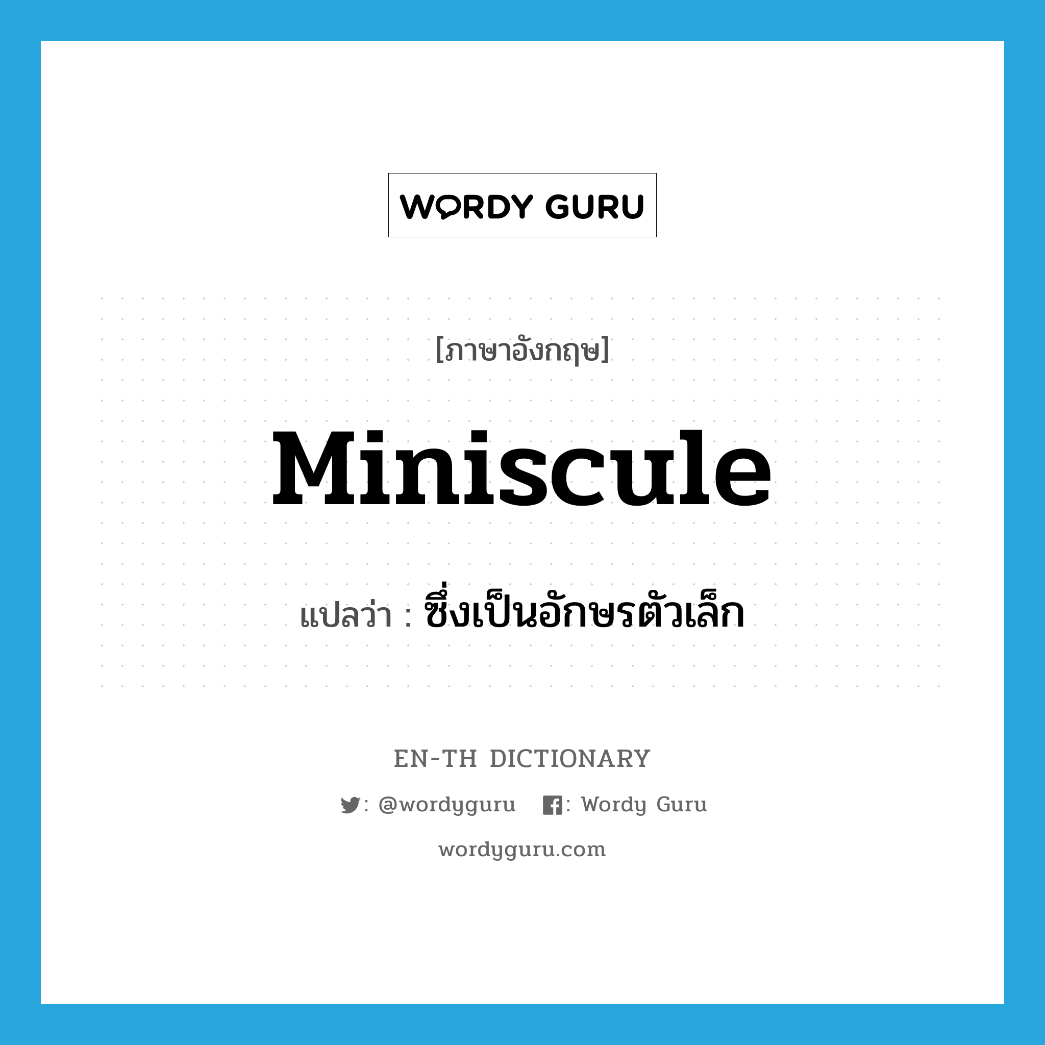 miniscule แปลว่า?, คำศัพท์ภาษาอังกฤษ miniscule แปลว่า ซึ่งเป็นอักษรตัวเล็ก ประเภท ADJ หมวด ADJ